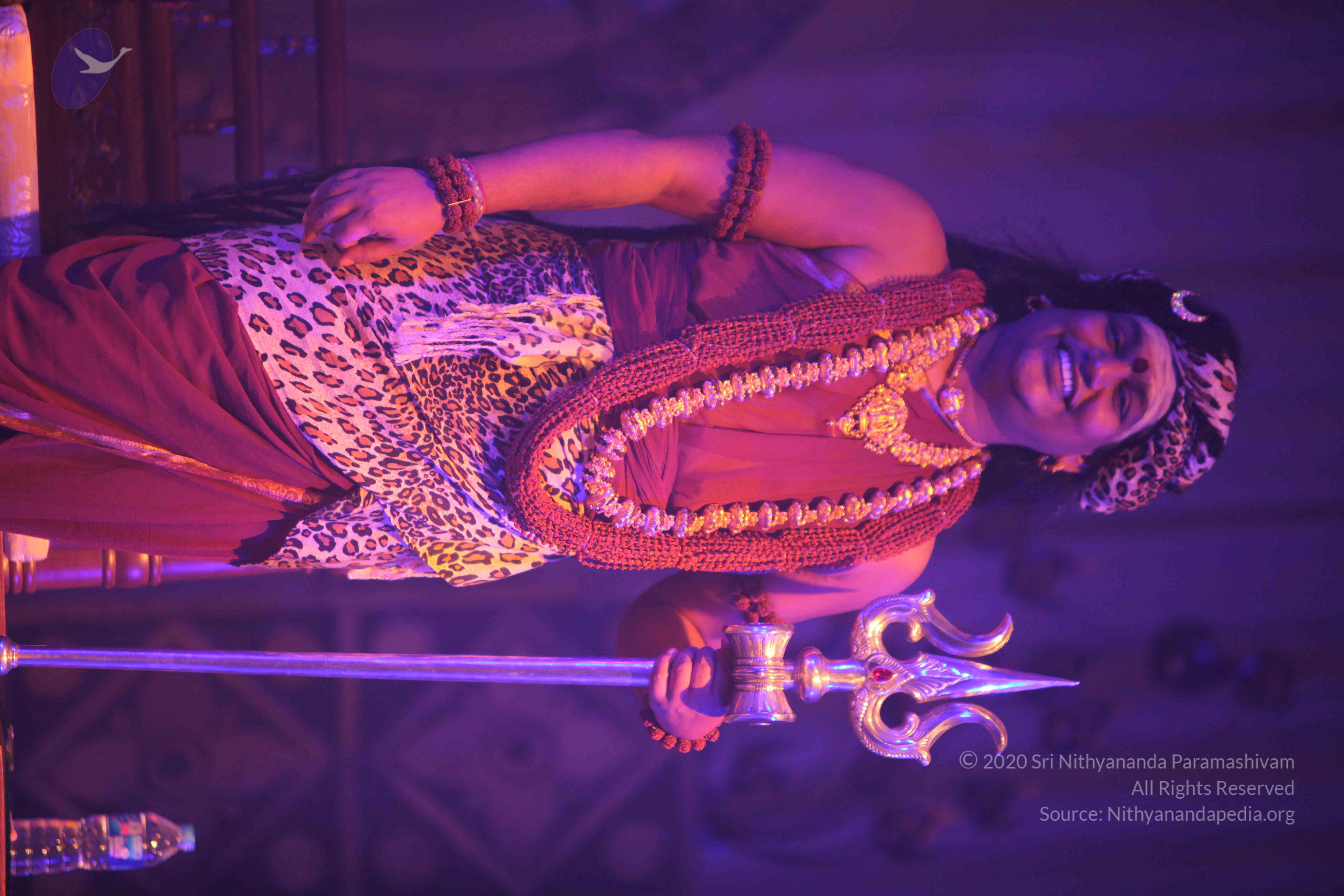 20151207_Photo_1017_IMG_6026_CMP_WM