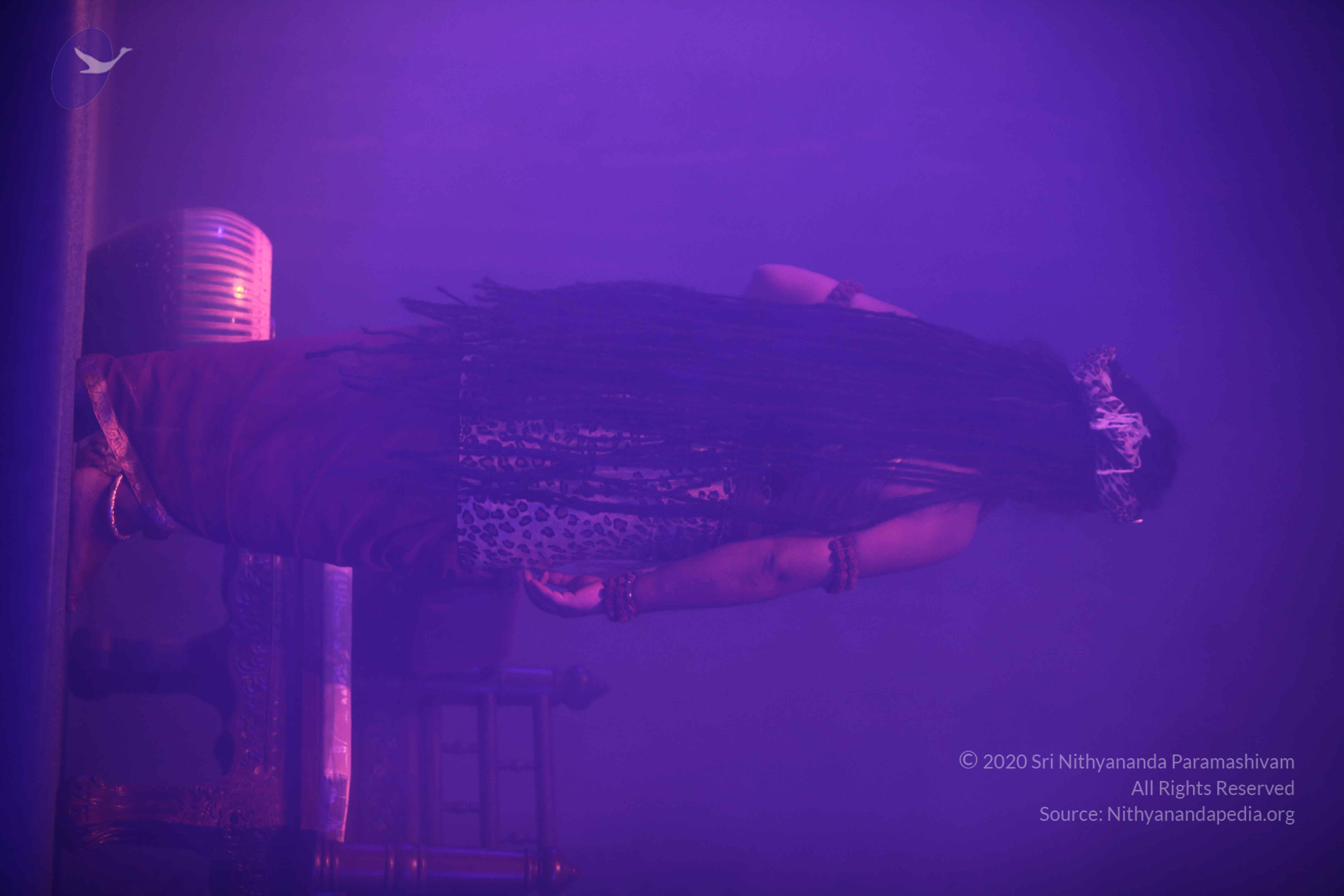 20151207_Photo_1032_IMG_6005_CMP_WM