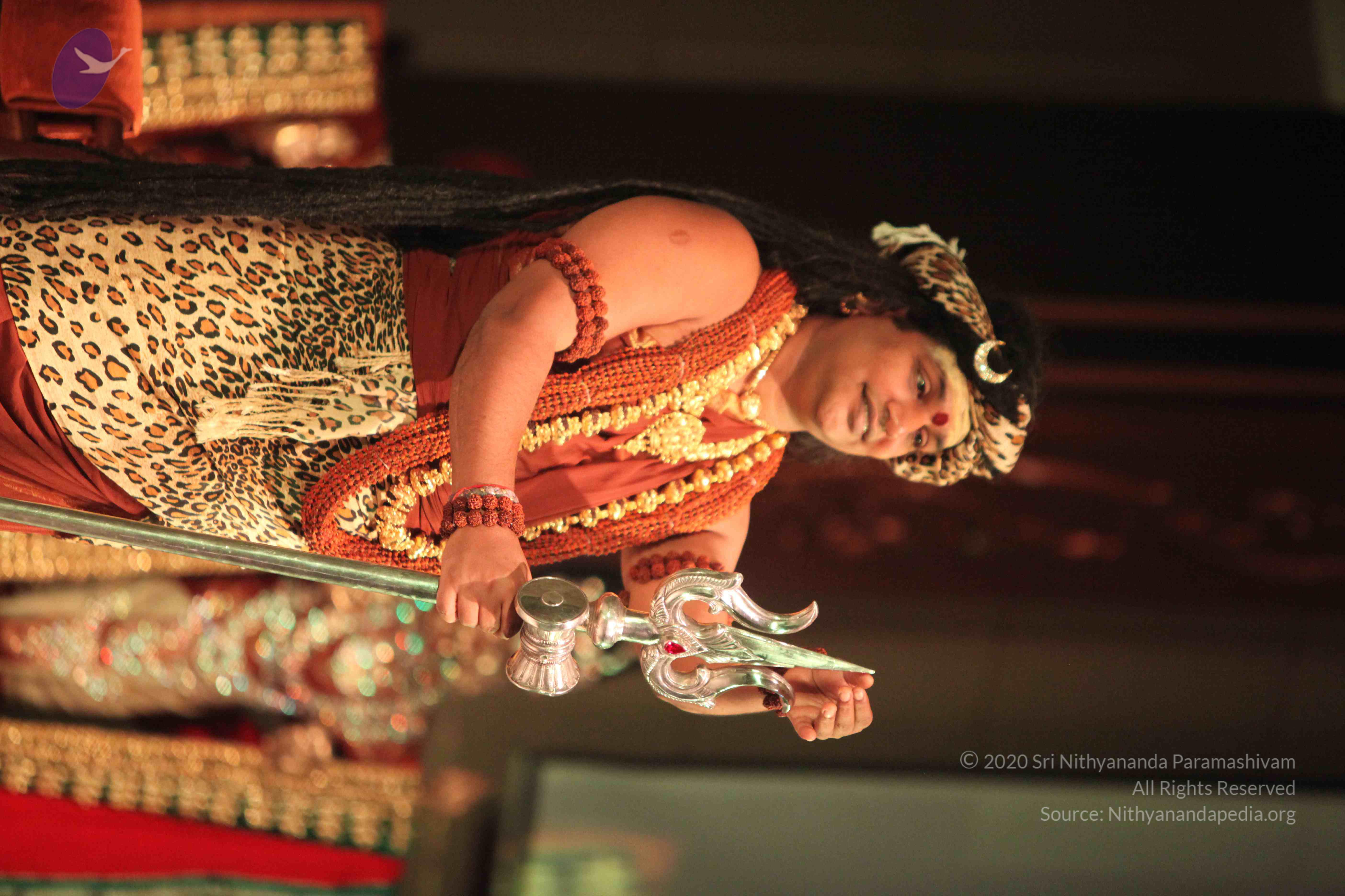 20151207_Photo_1033_IMG_6158_CMP_WM