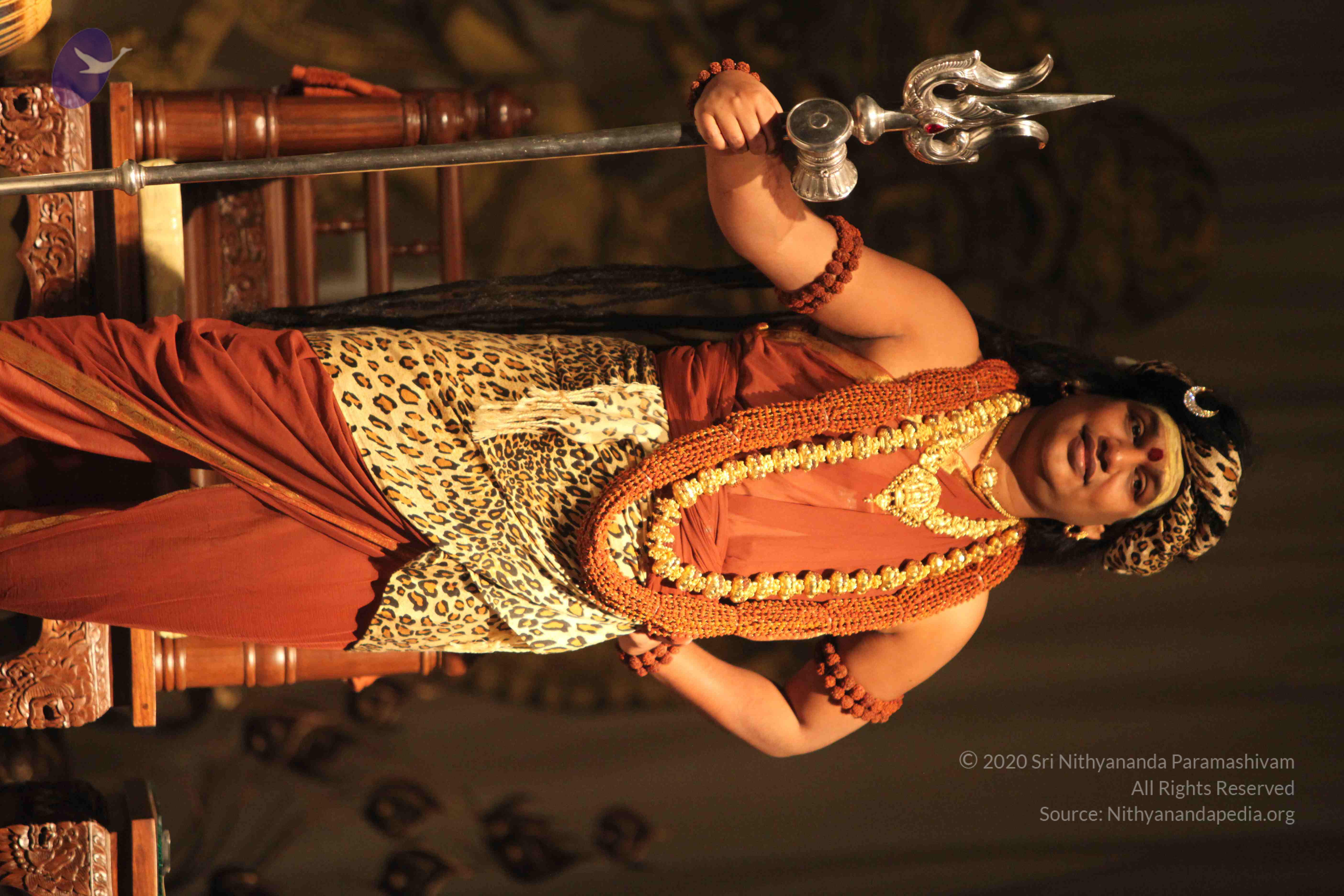 20151207_Photo_1034_IMG_6084_CMP_WM