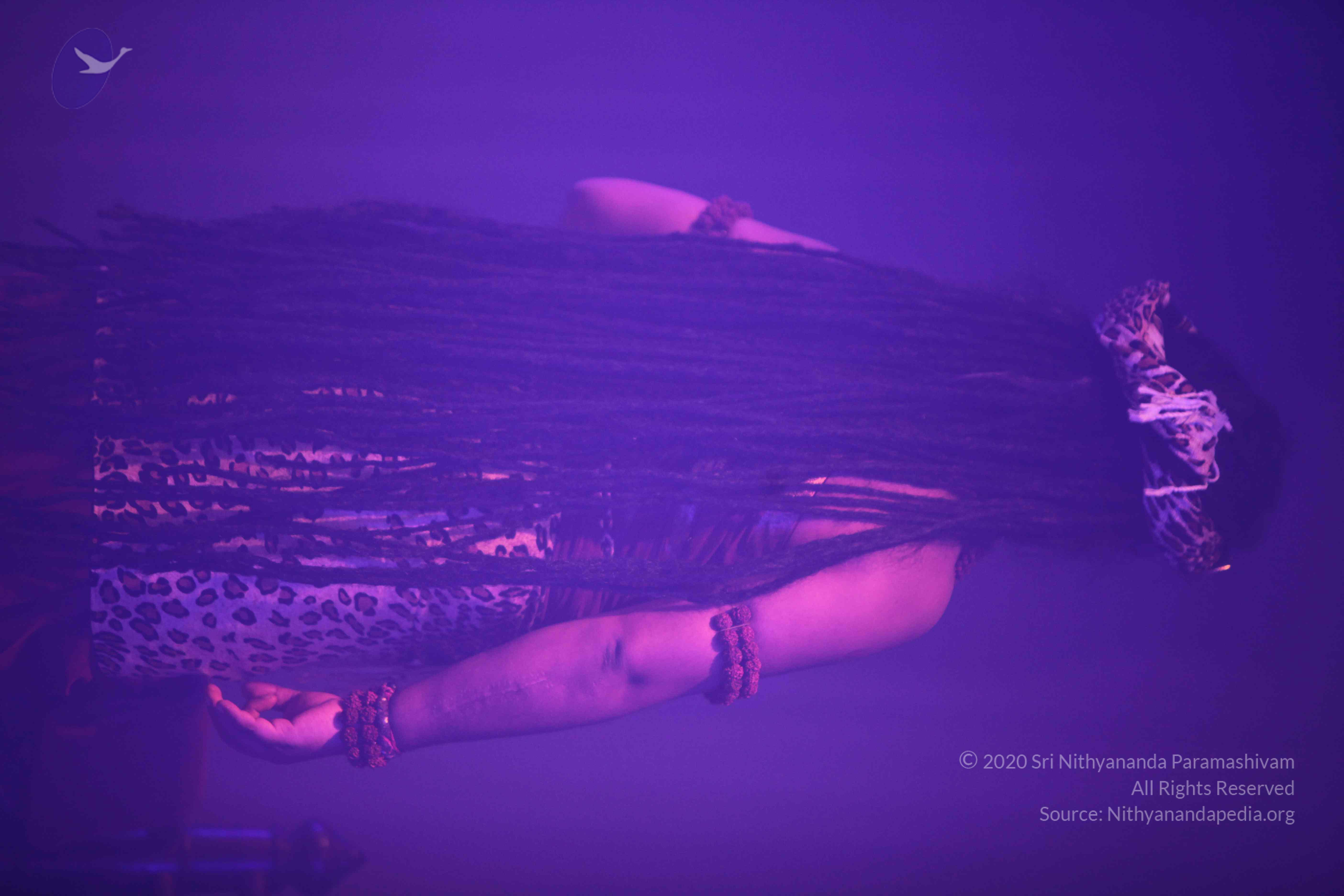 20151207_Photo_1036_IMG_6014_CMP_WM