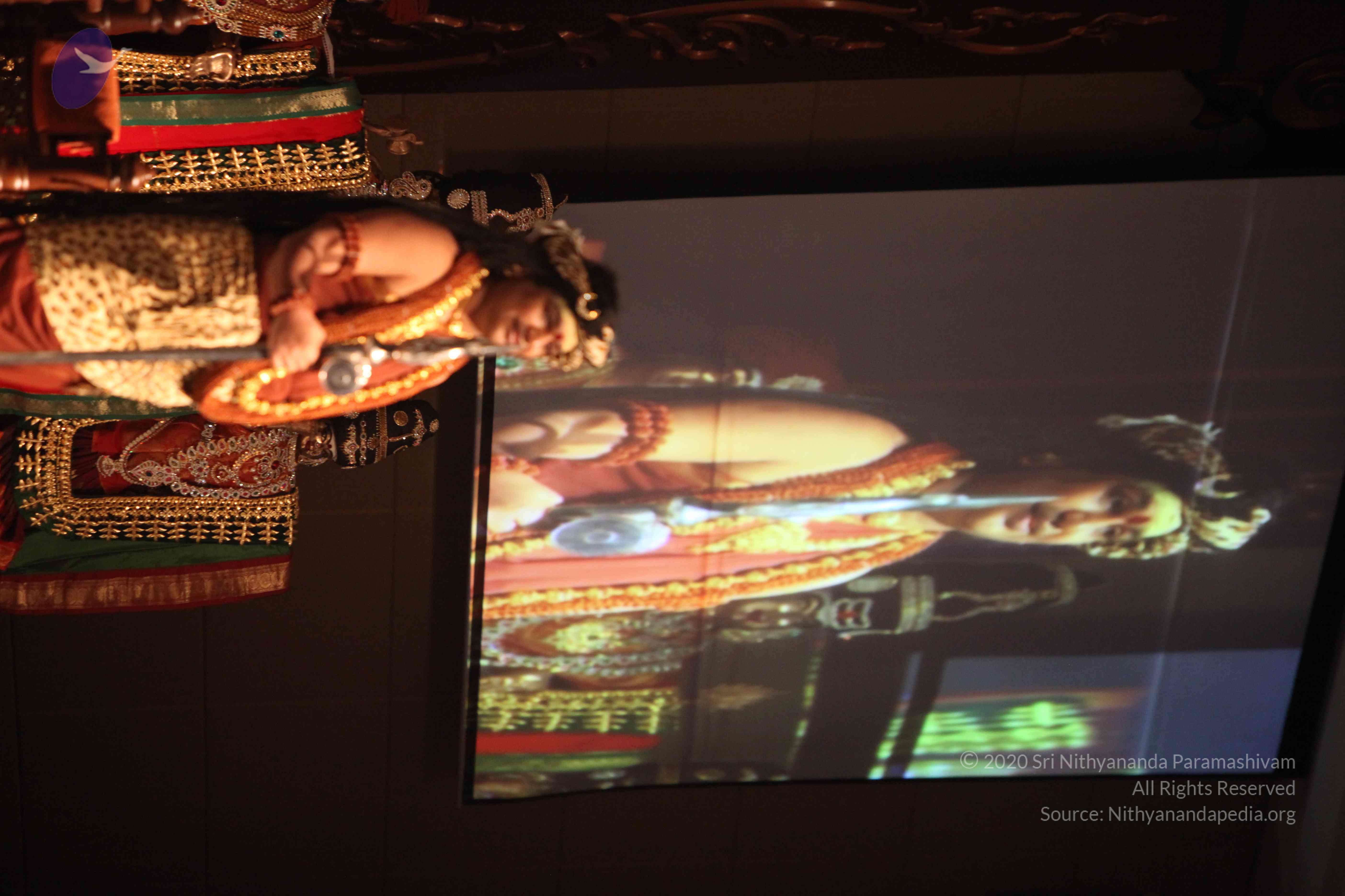 20151207_Photo_1038_IMG_6076_CMP_WM