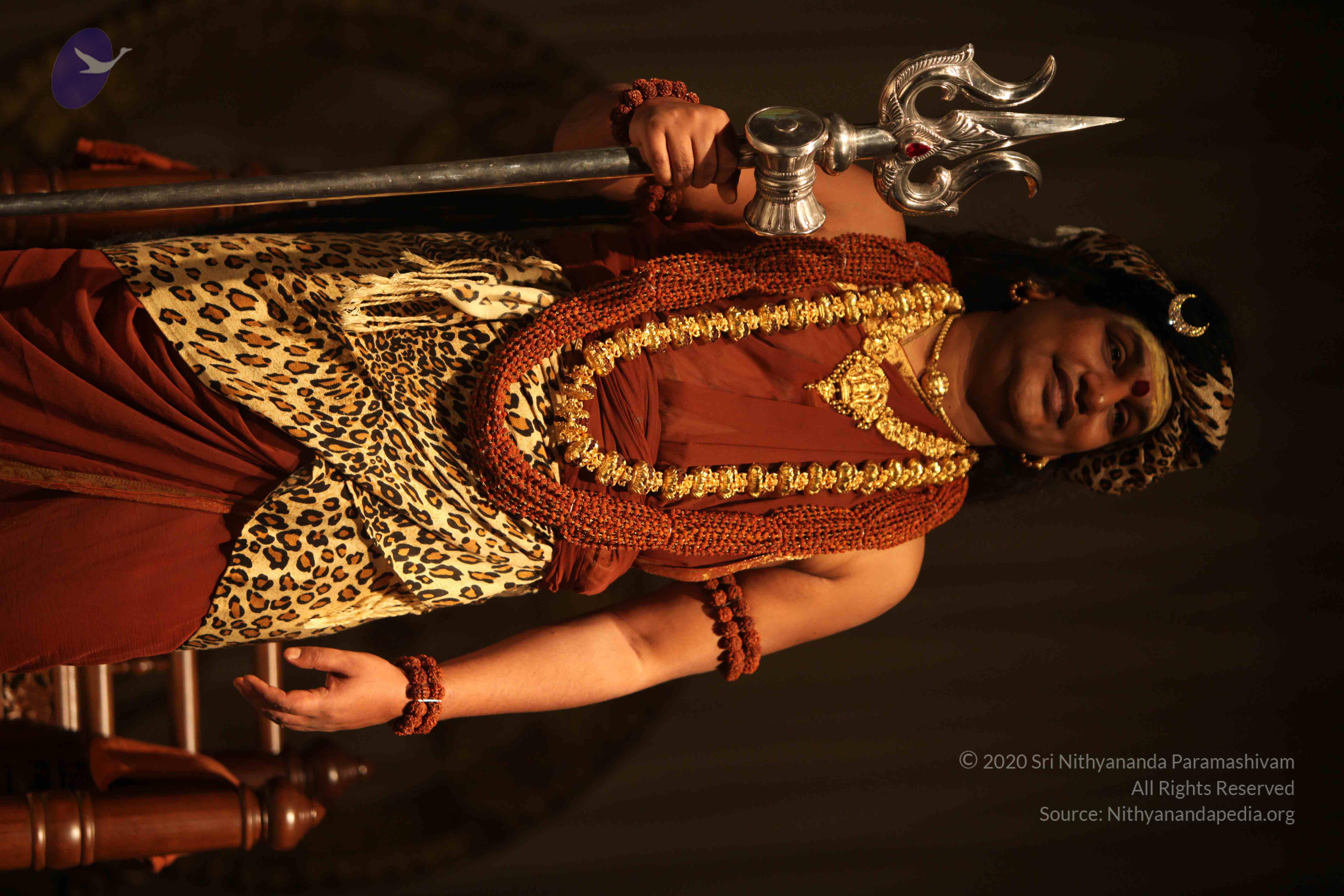 20151207_Photo_1040_IMG_6170_CMP_WM