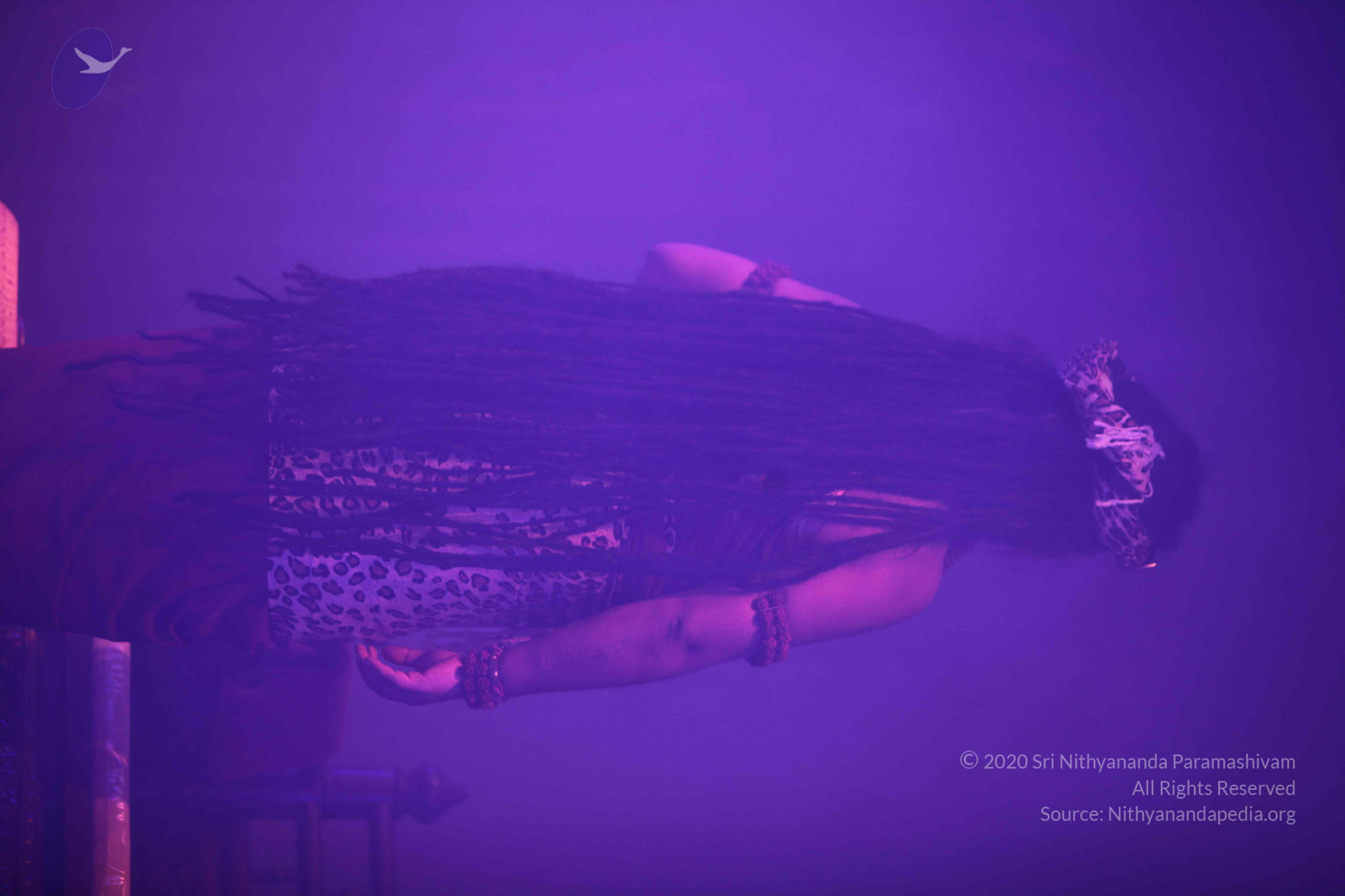 20151207_Photo_1042_IMG_6006_CMP_WM