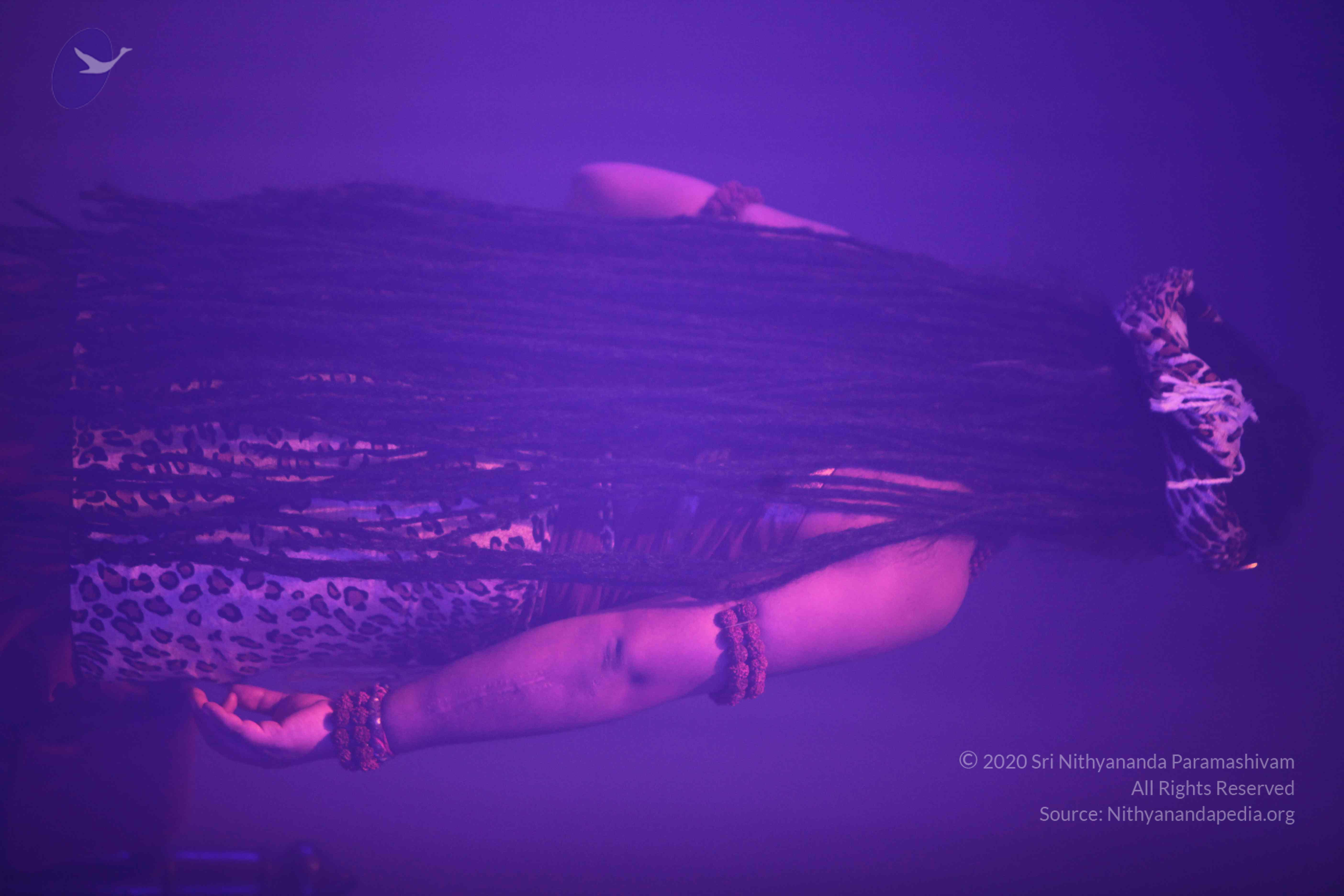 20151207_Photo_1051_IMG_6012_CMP_WM