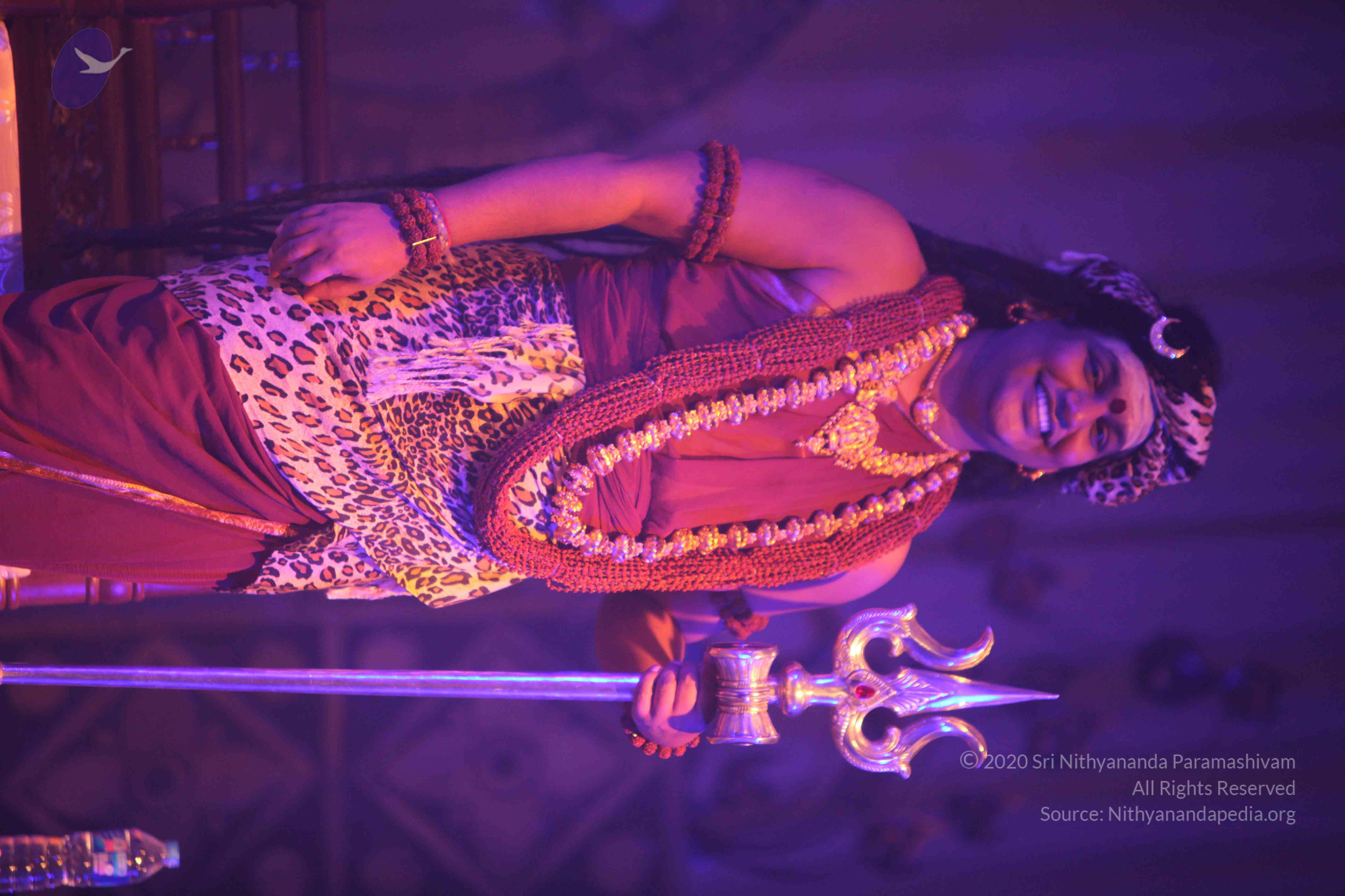 20151207_Photo_1052_IMG_6025_CMP_WM