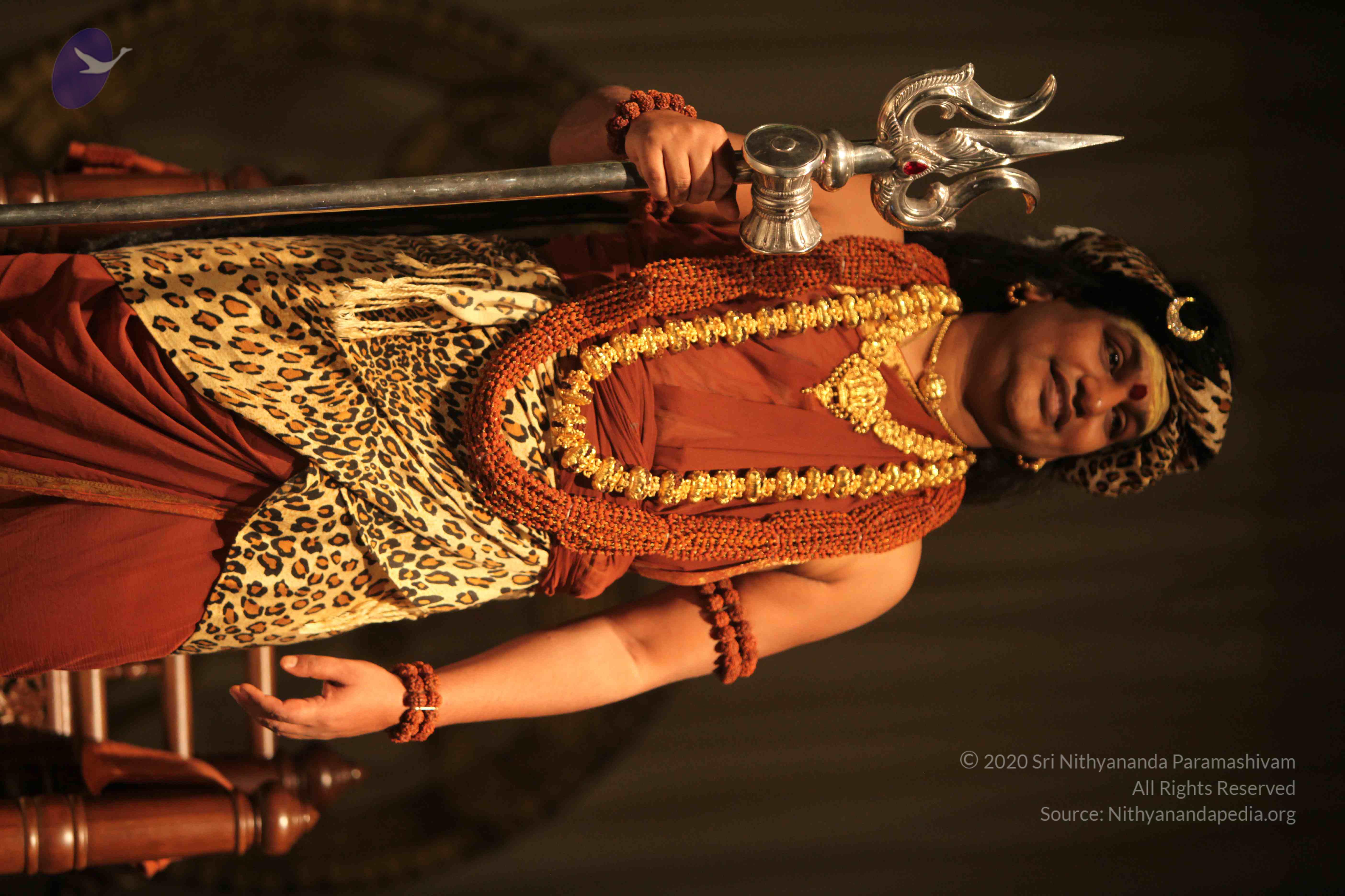 20151207_Photo_1055_IMG_6169_CMP_WM