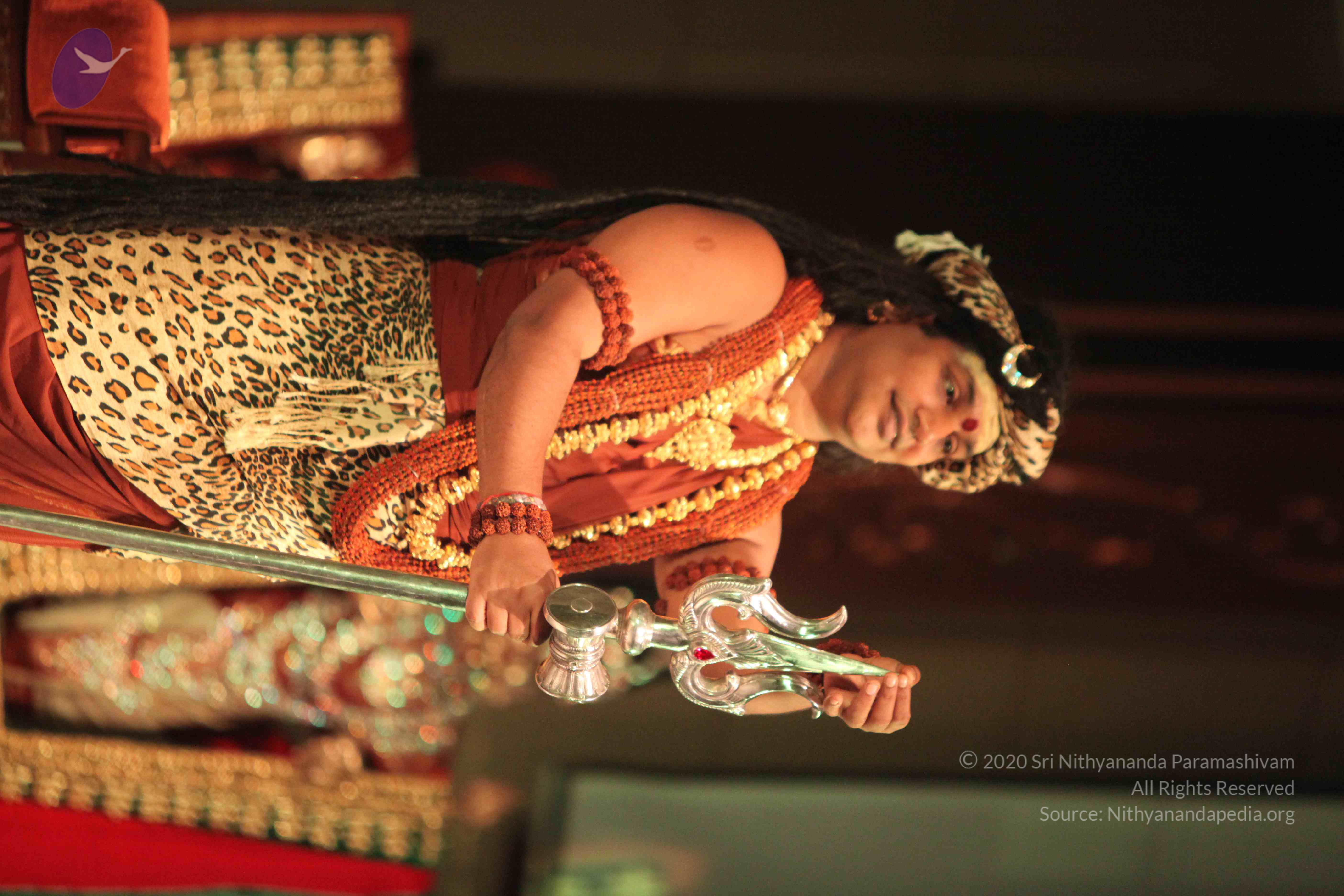 20151207_Photo_1059_IMG_6159_CMP_WM