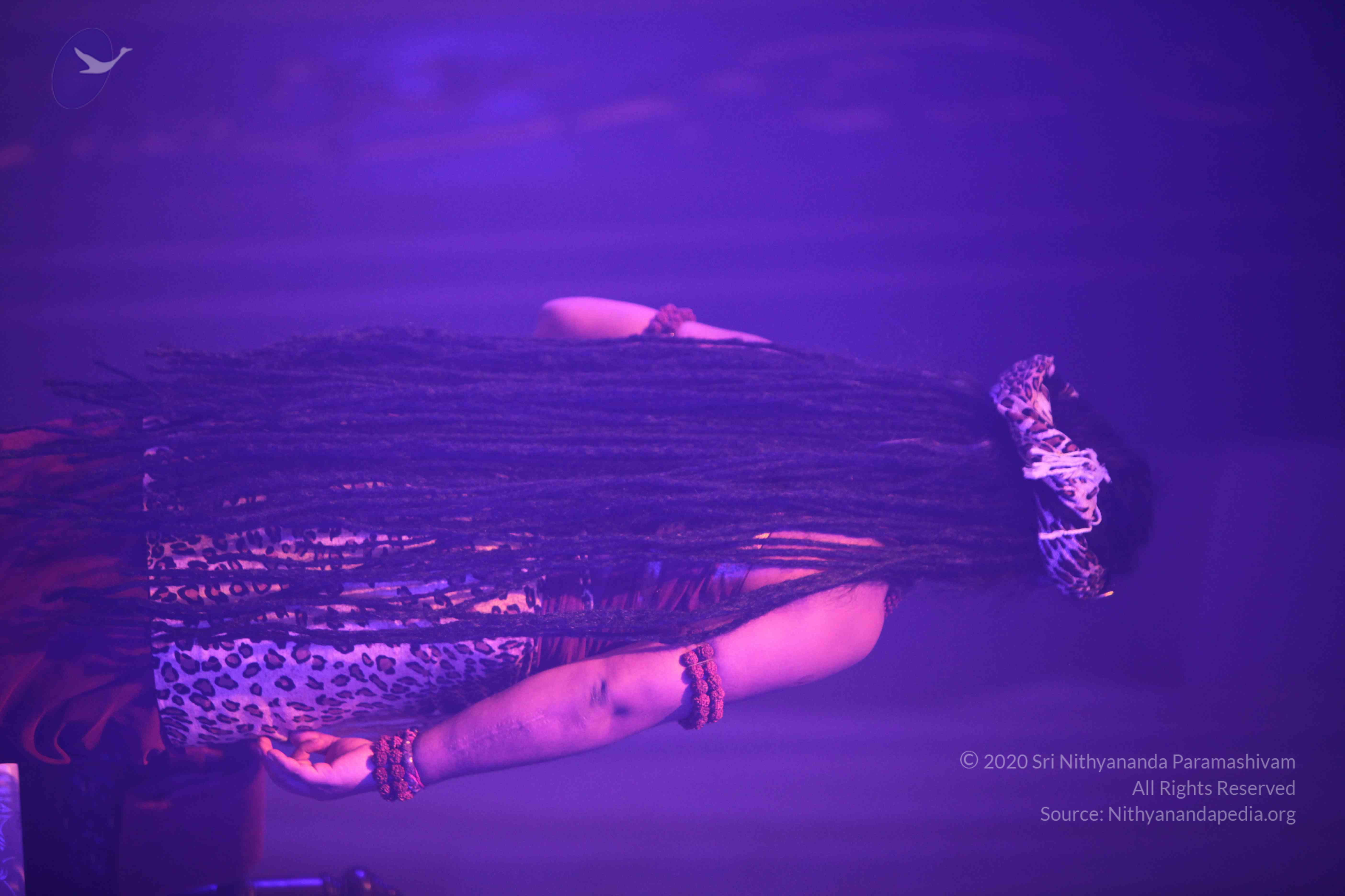 20151207_Photo_1062_IMG_6015_CMP_WM