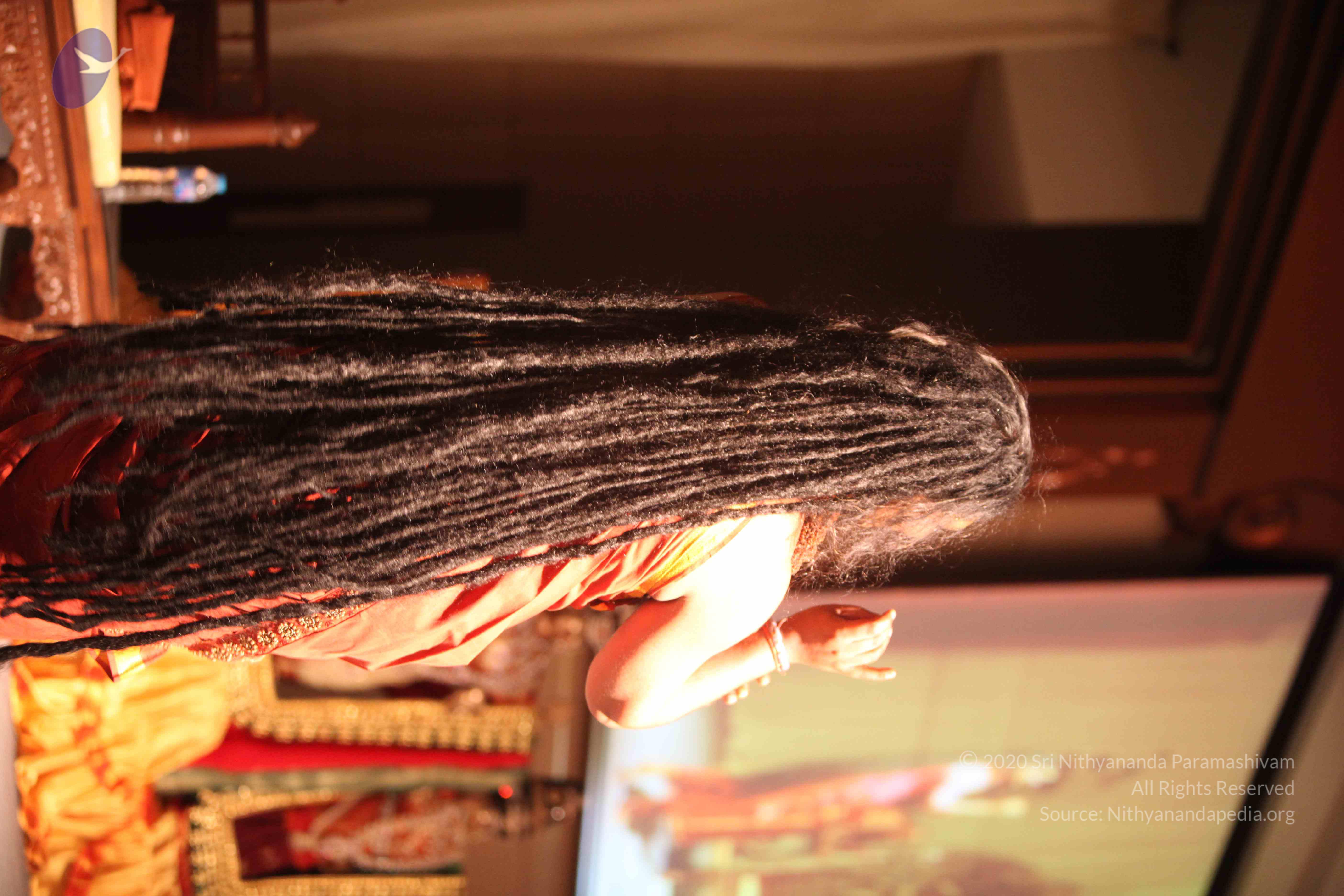 20151207_Photo_1018_IMG_9941_CMP_WM