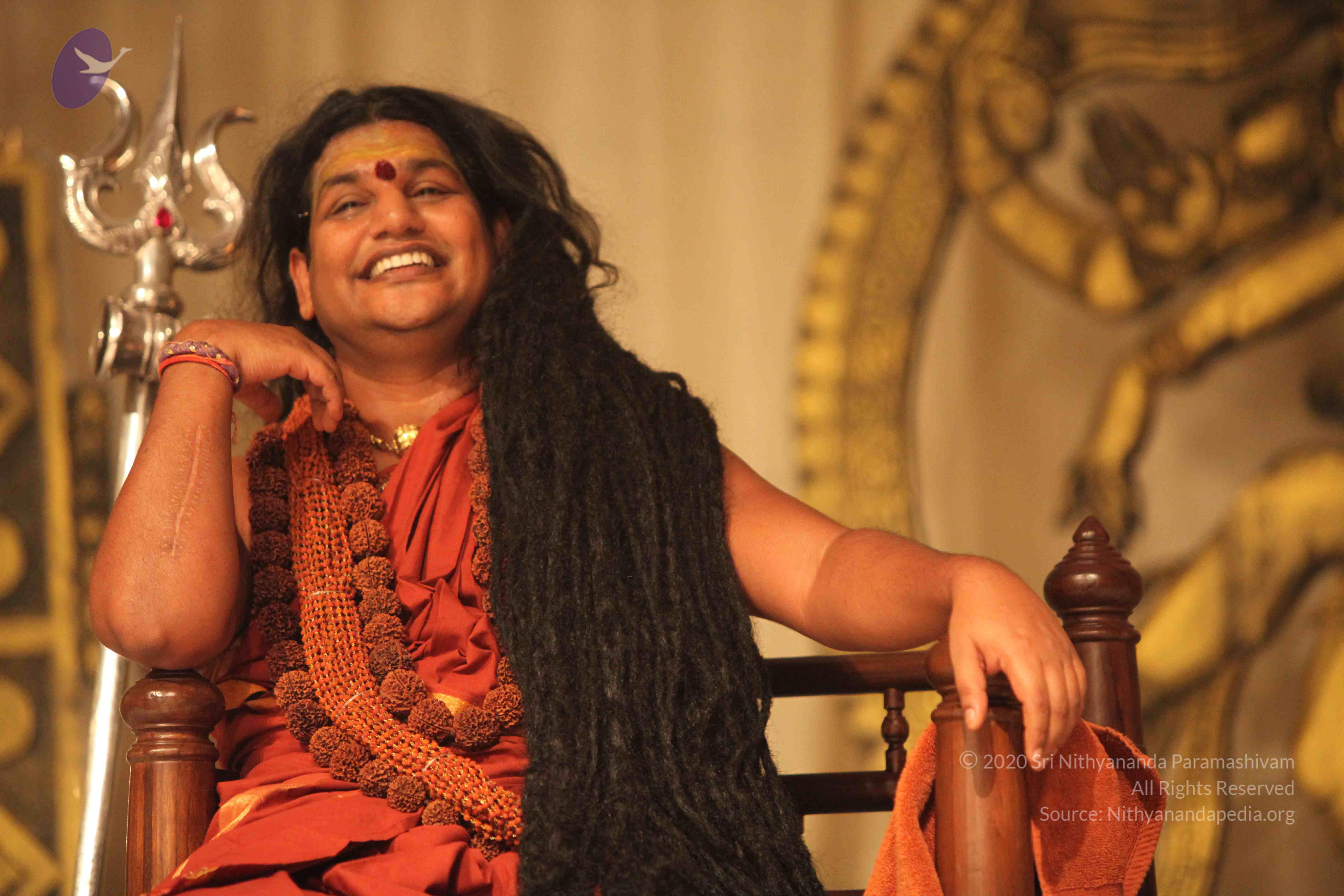 20151207_Photo_1020_IMG_0031_CMP_WM