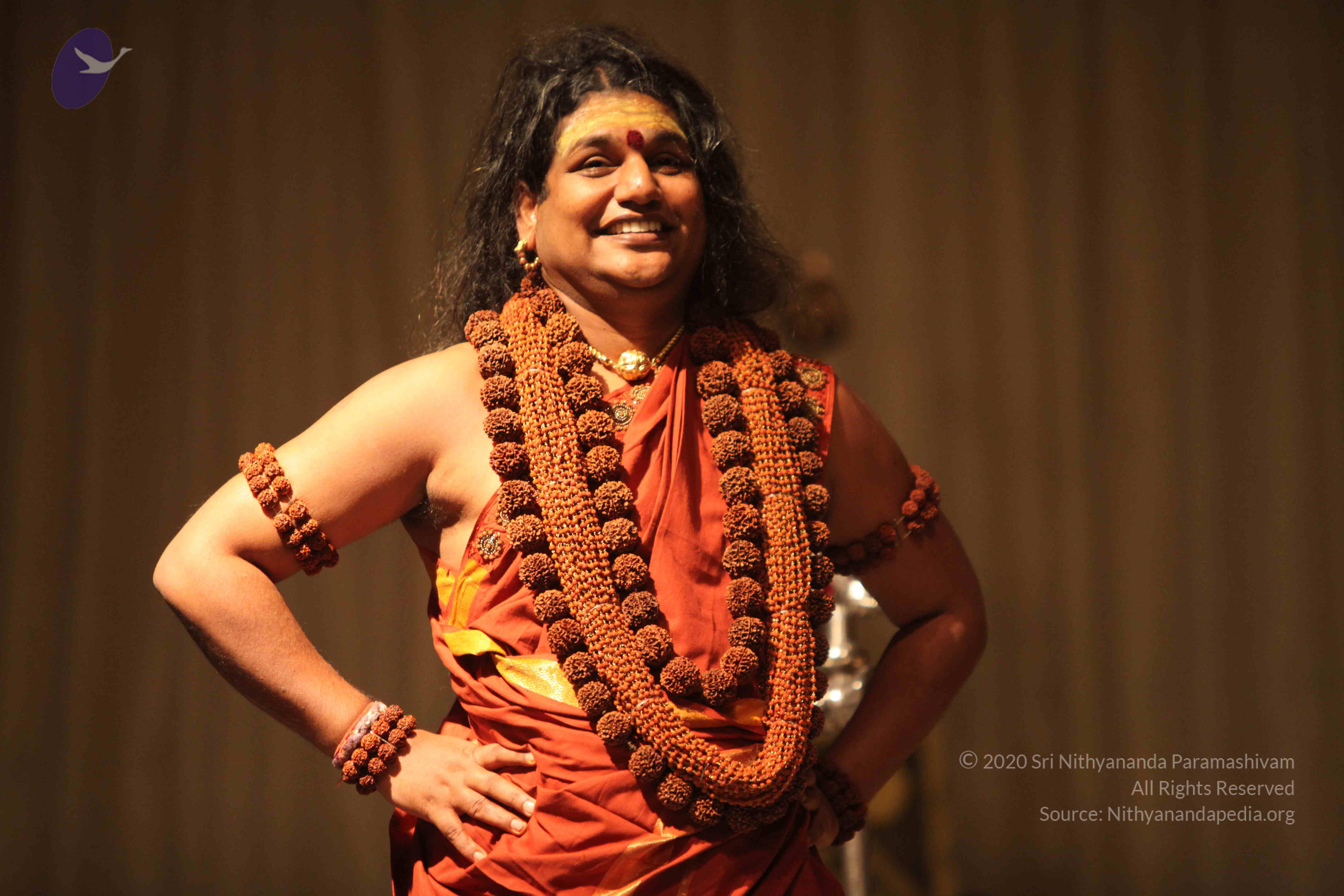 20151207_Photo_1038_IMG_9869_CMP_WM