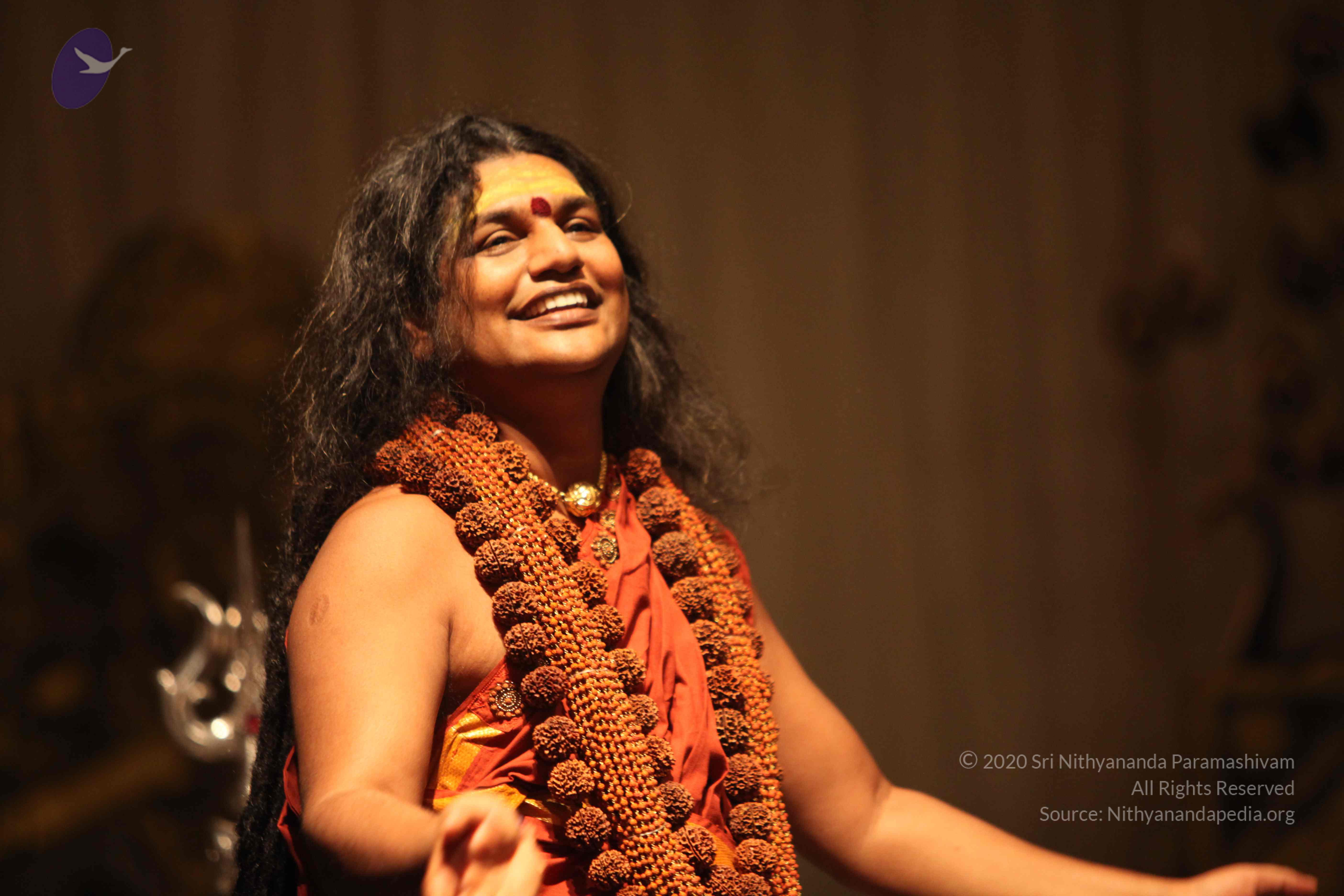 20151207_Photo_1060_IMG_9915_CMP_WM