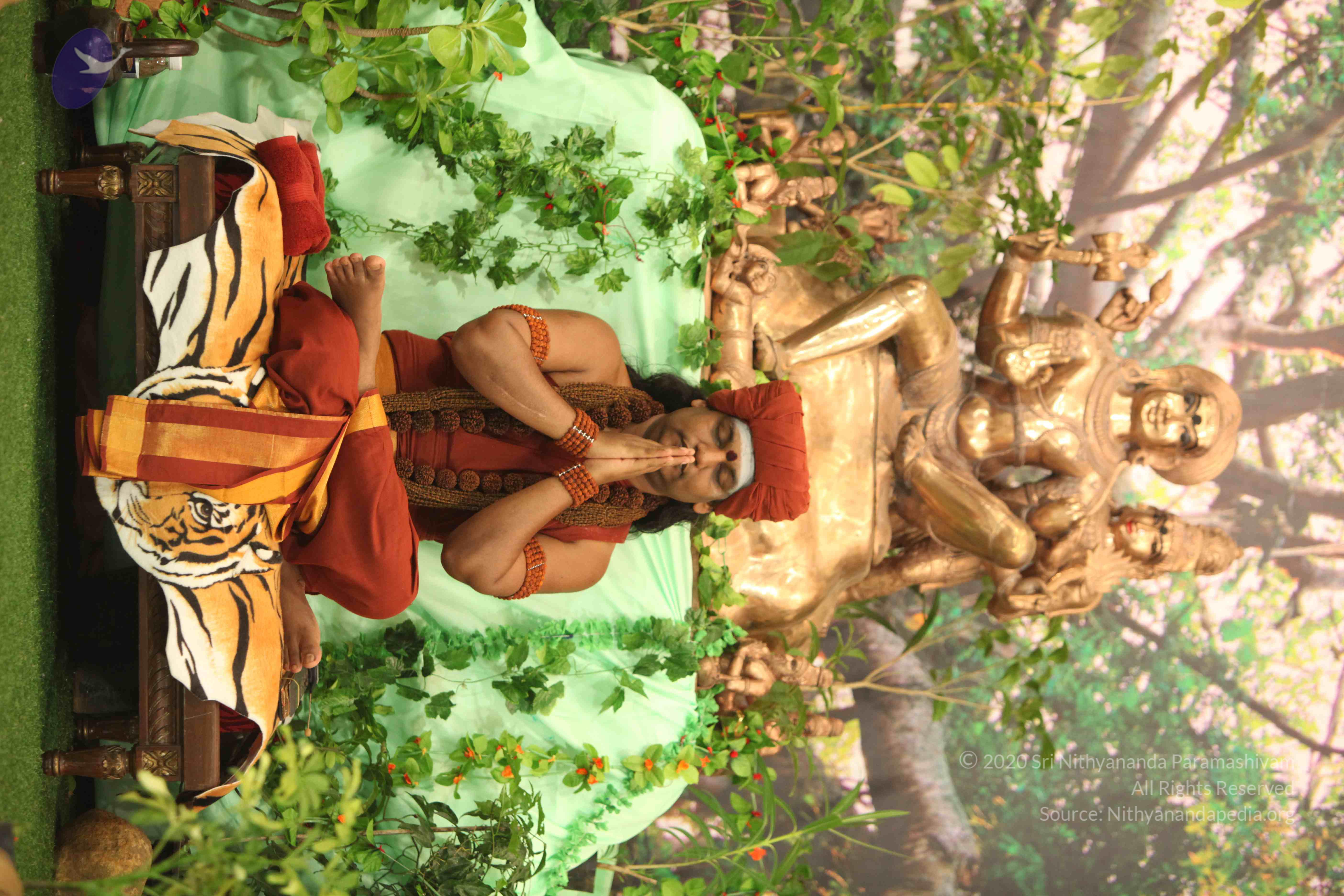 IMG_2437_Compressed_WM