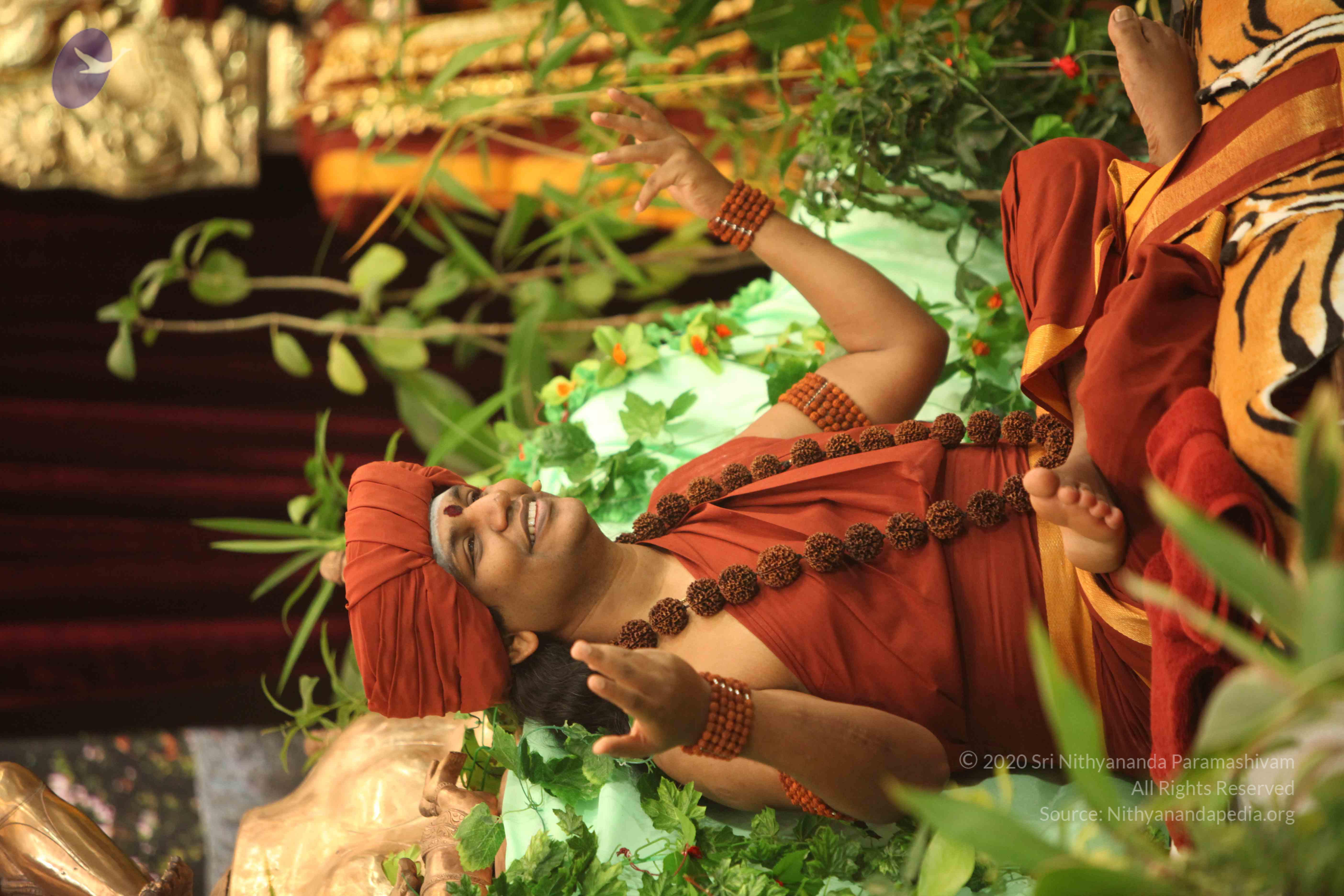 IMG_2472_Compressed_WM