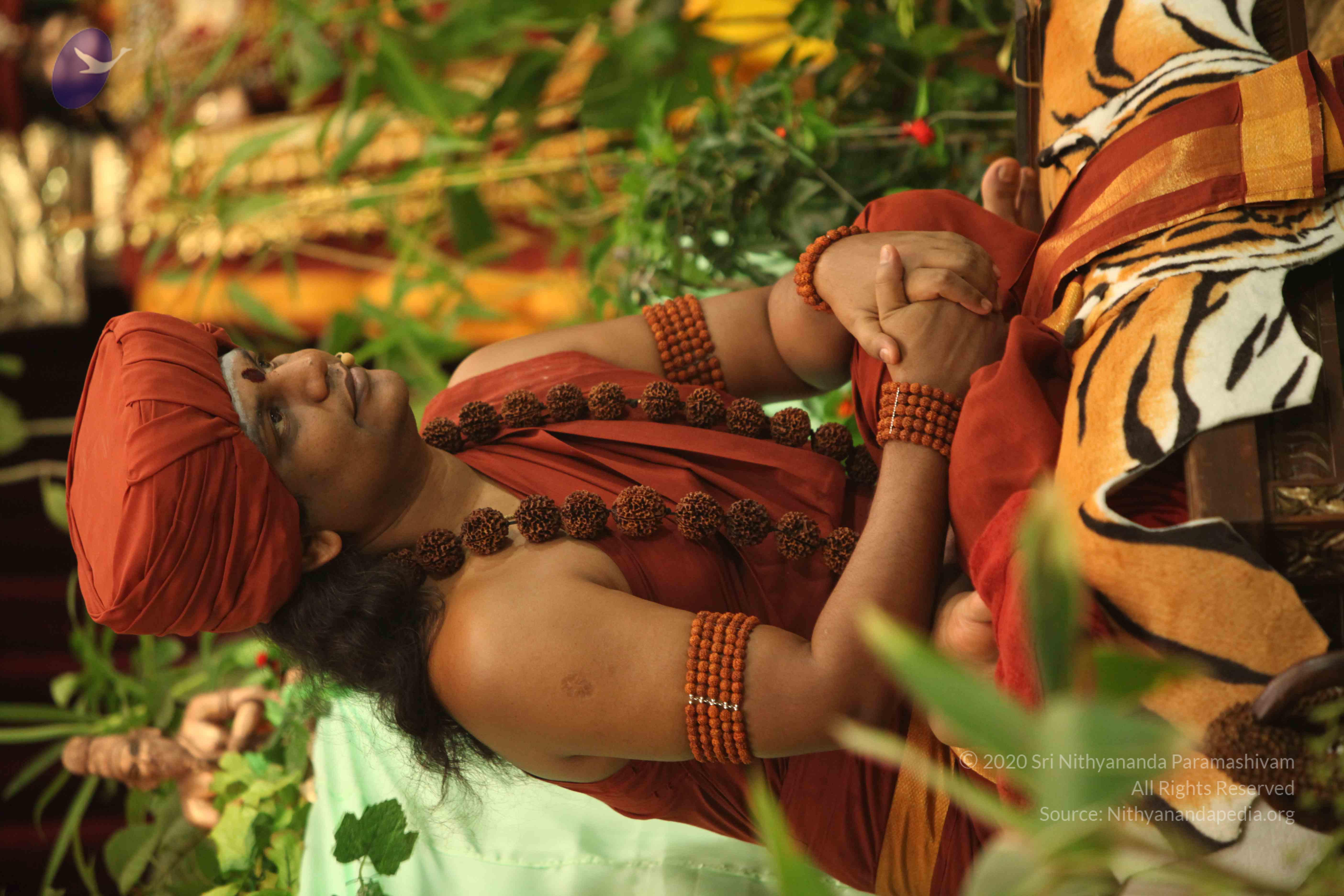 IMG_2491_Compressed_WM