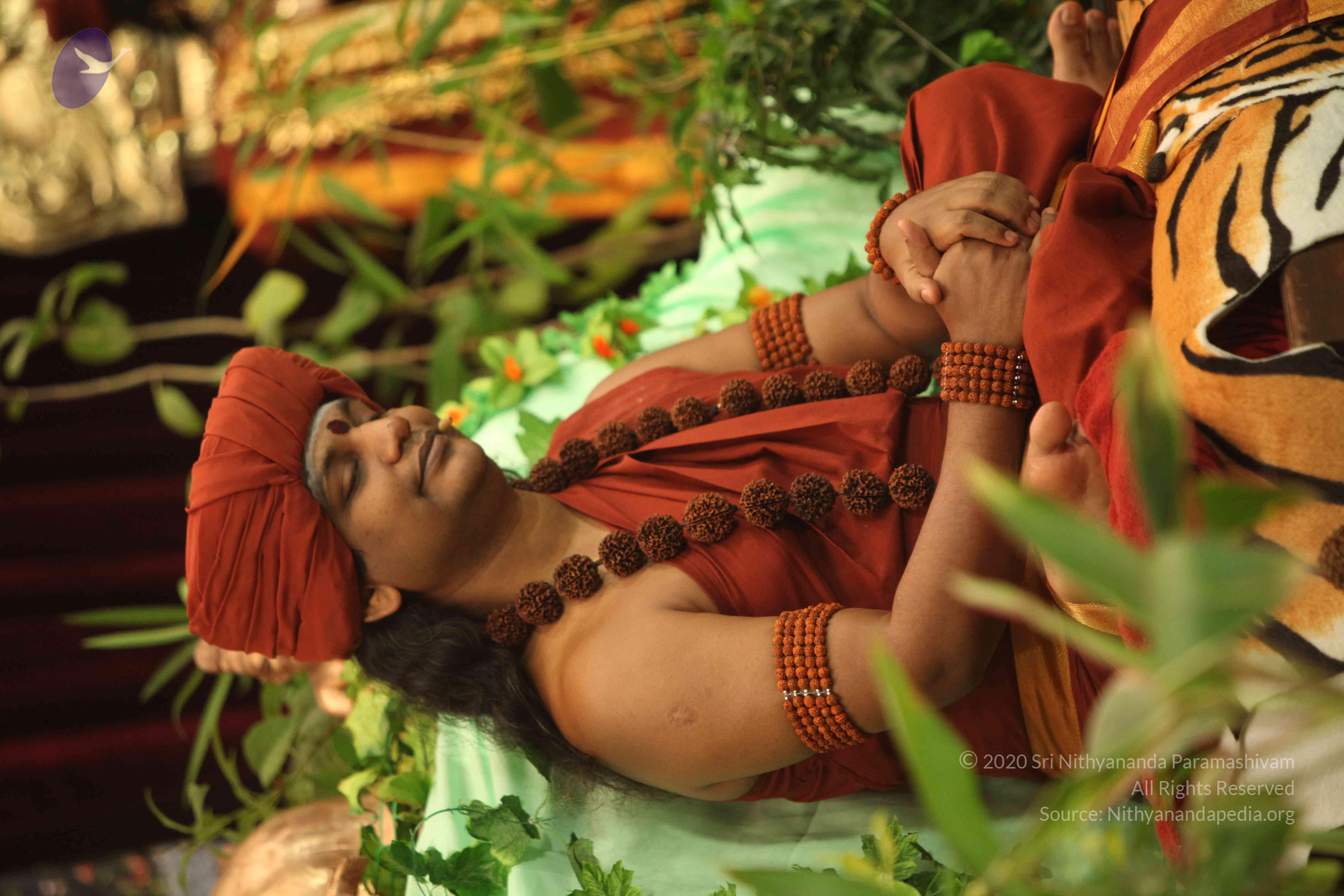 IMG_2492_Compressed_WM