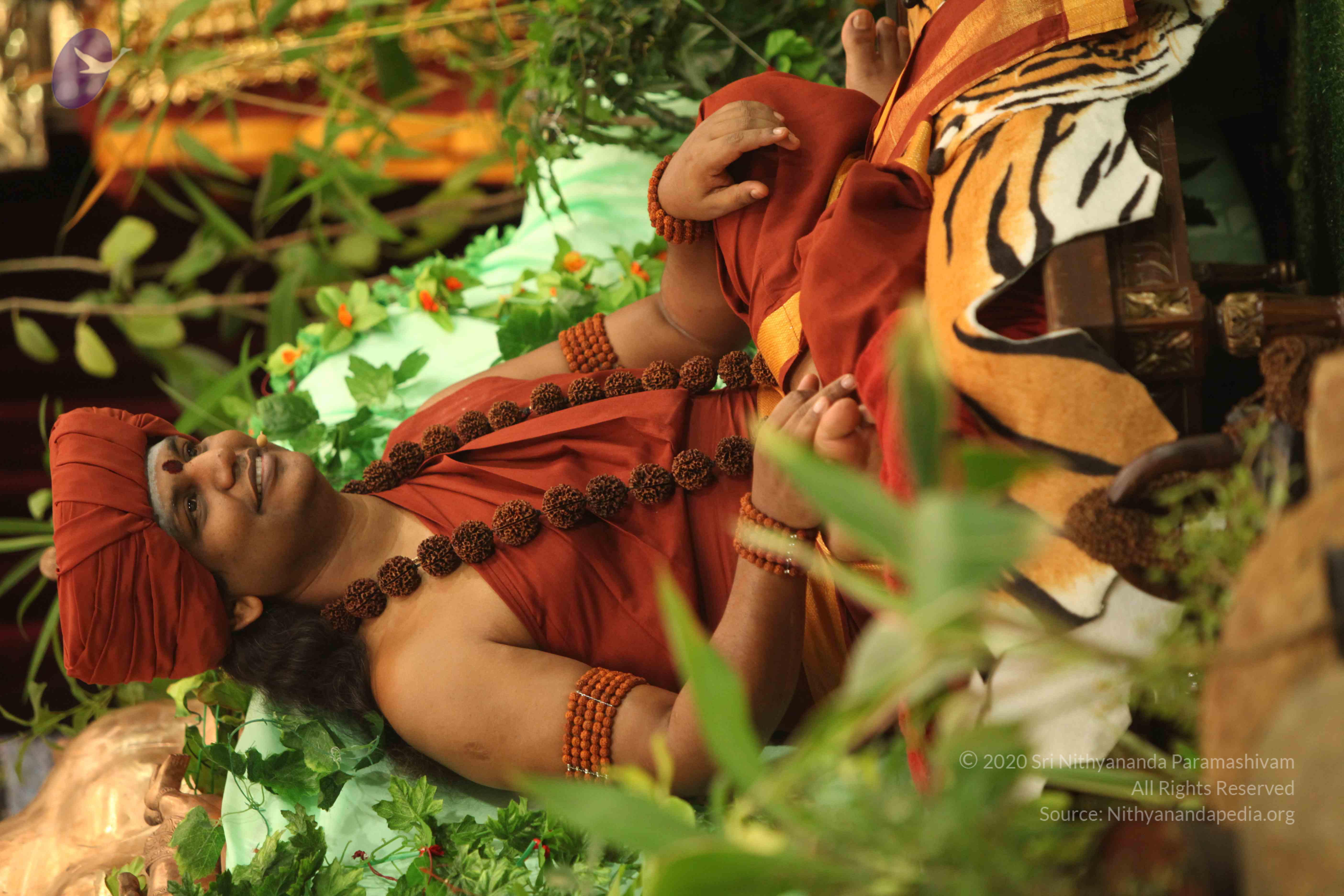 IMG_2493_Compressed_WM