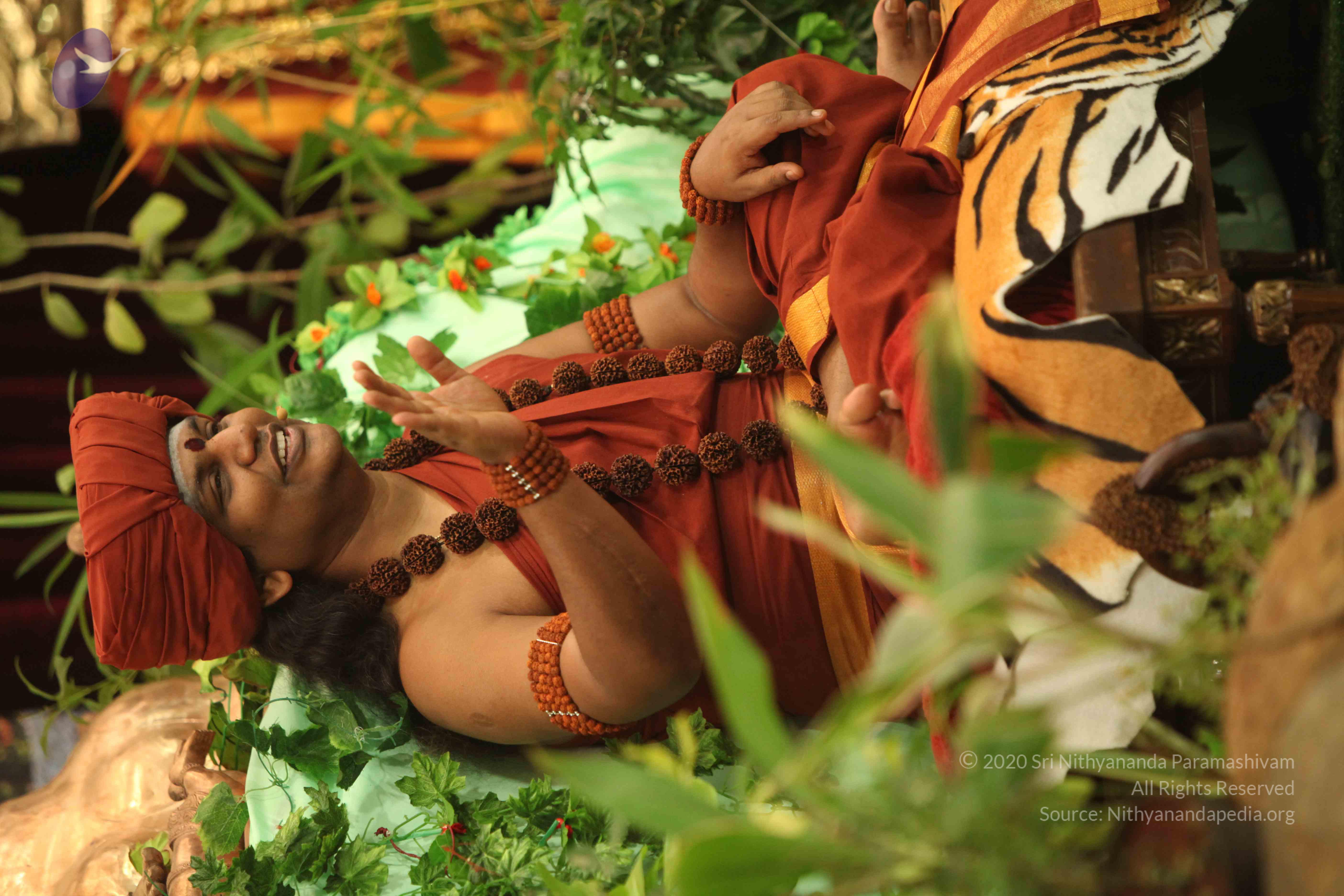 IMG_2494_Compressed_WM