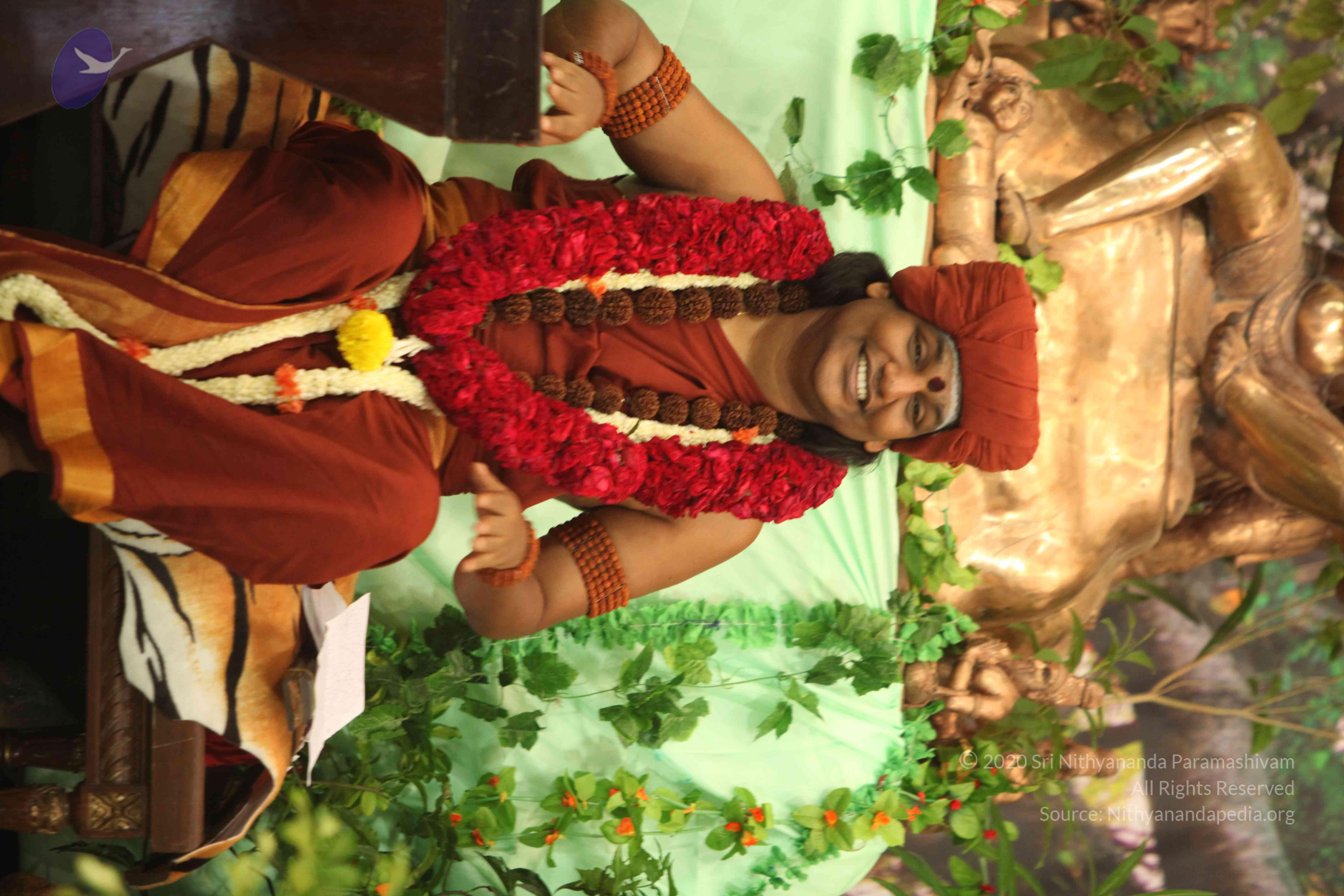 IMG_2546_Compressed_WM