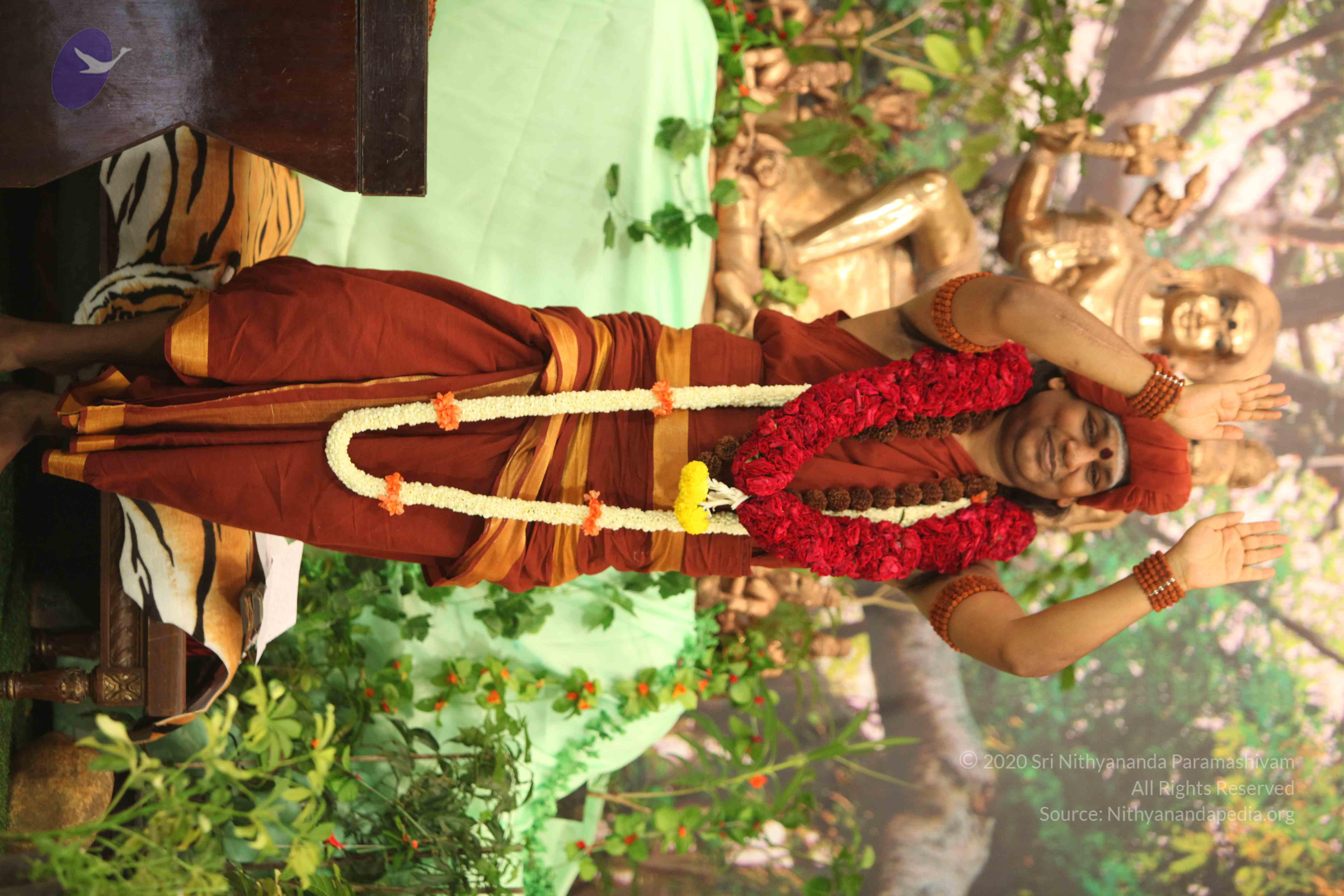 IMG_2549_Compressed_WM