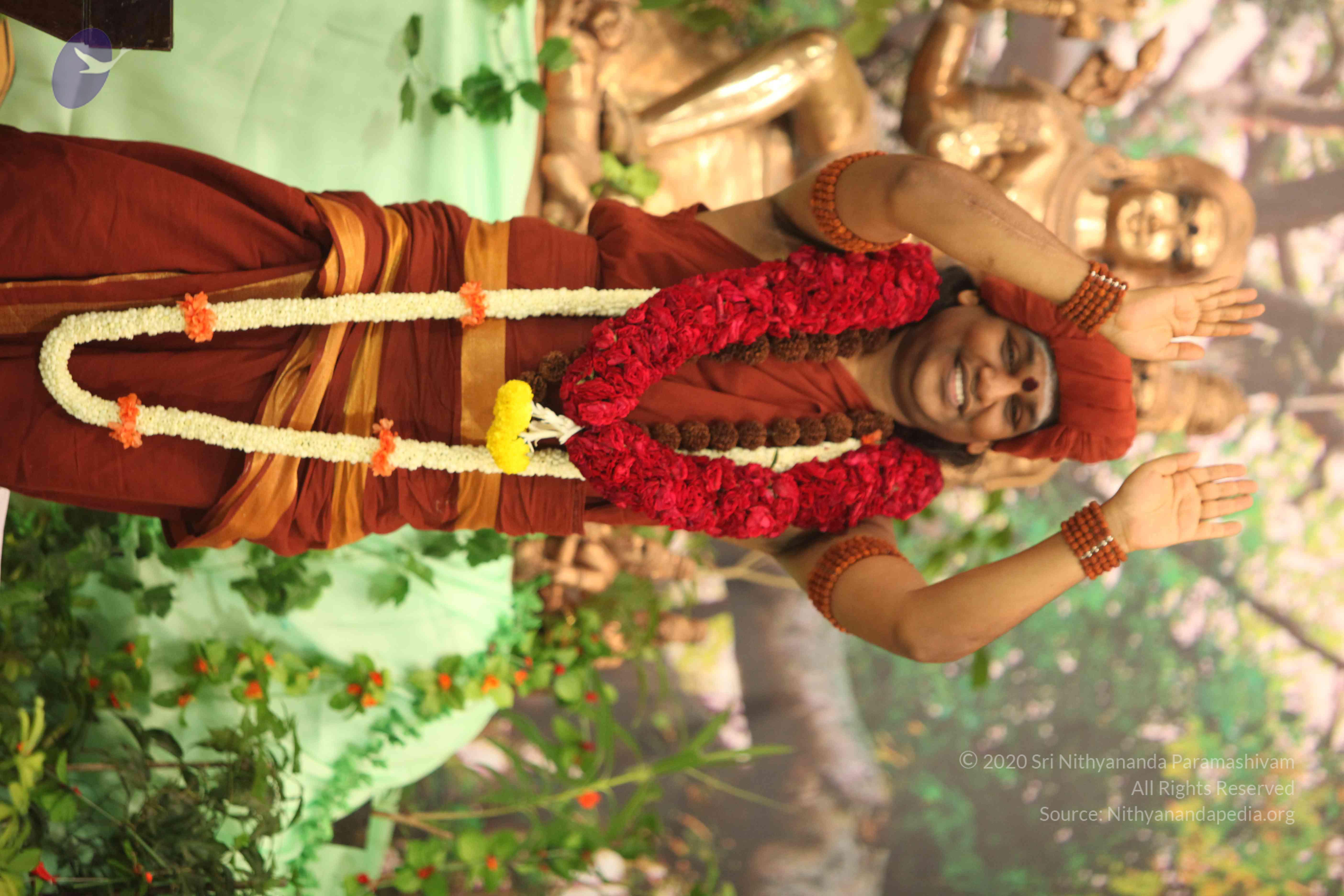 IMG_2550_Compressed_WM