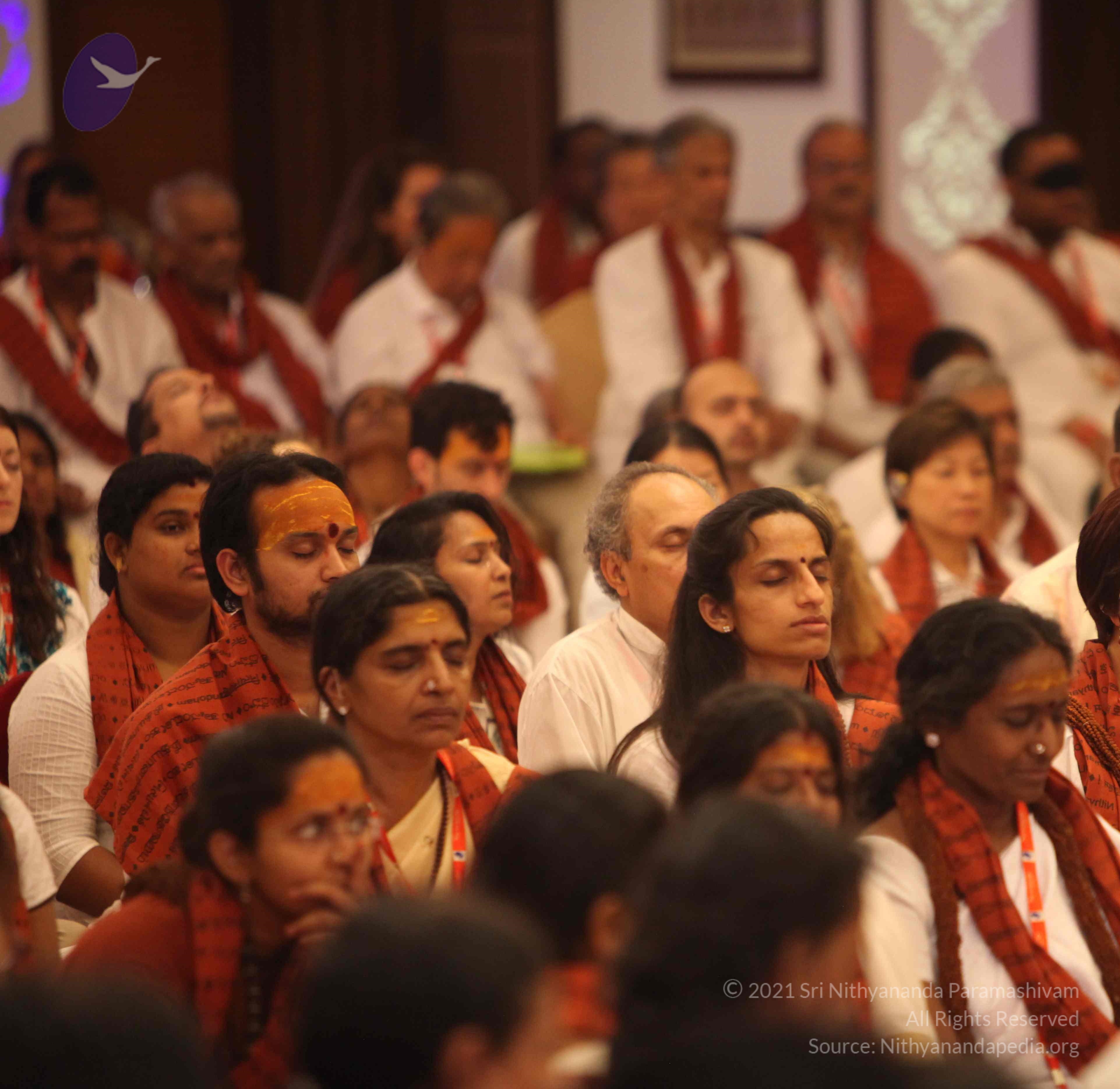 IMG_2265_CMP_WM Done