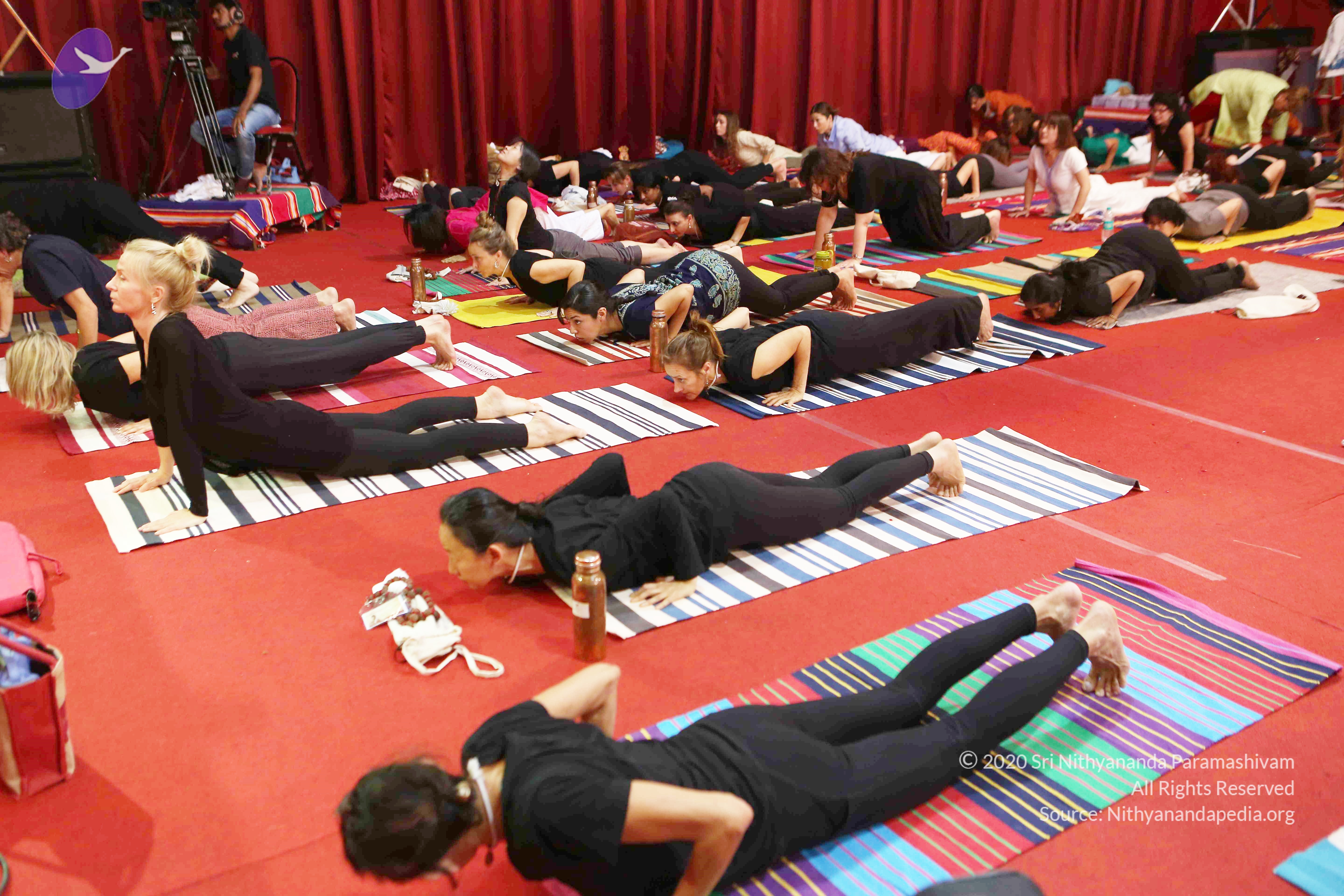 20161210_Photo_1003_G28A8375_CMP_WM