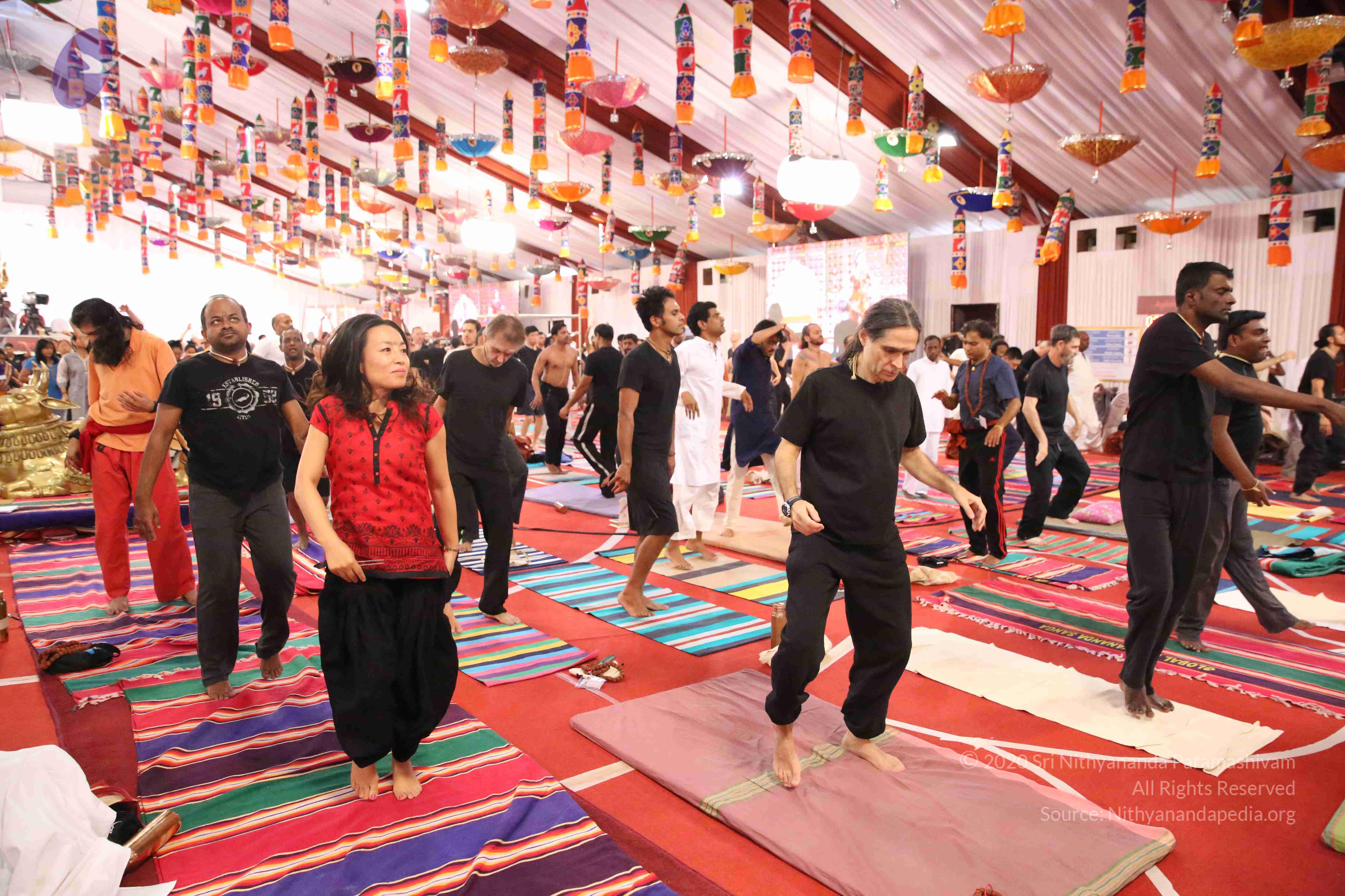 20161210_Photo_1009_IMGL2886_CMP_WM