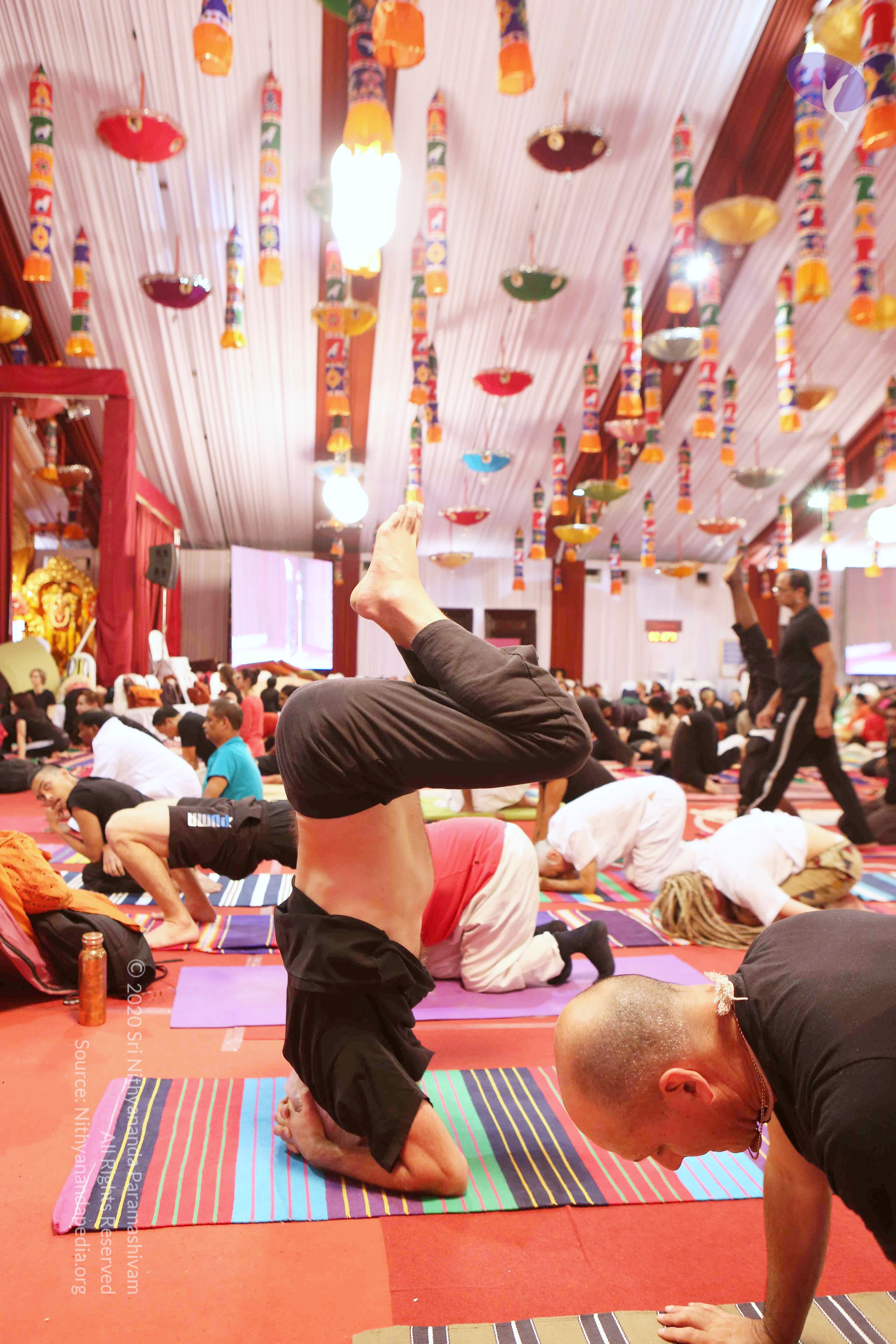 20161210_Photo_1013_G28A8431_CMP_WM