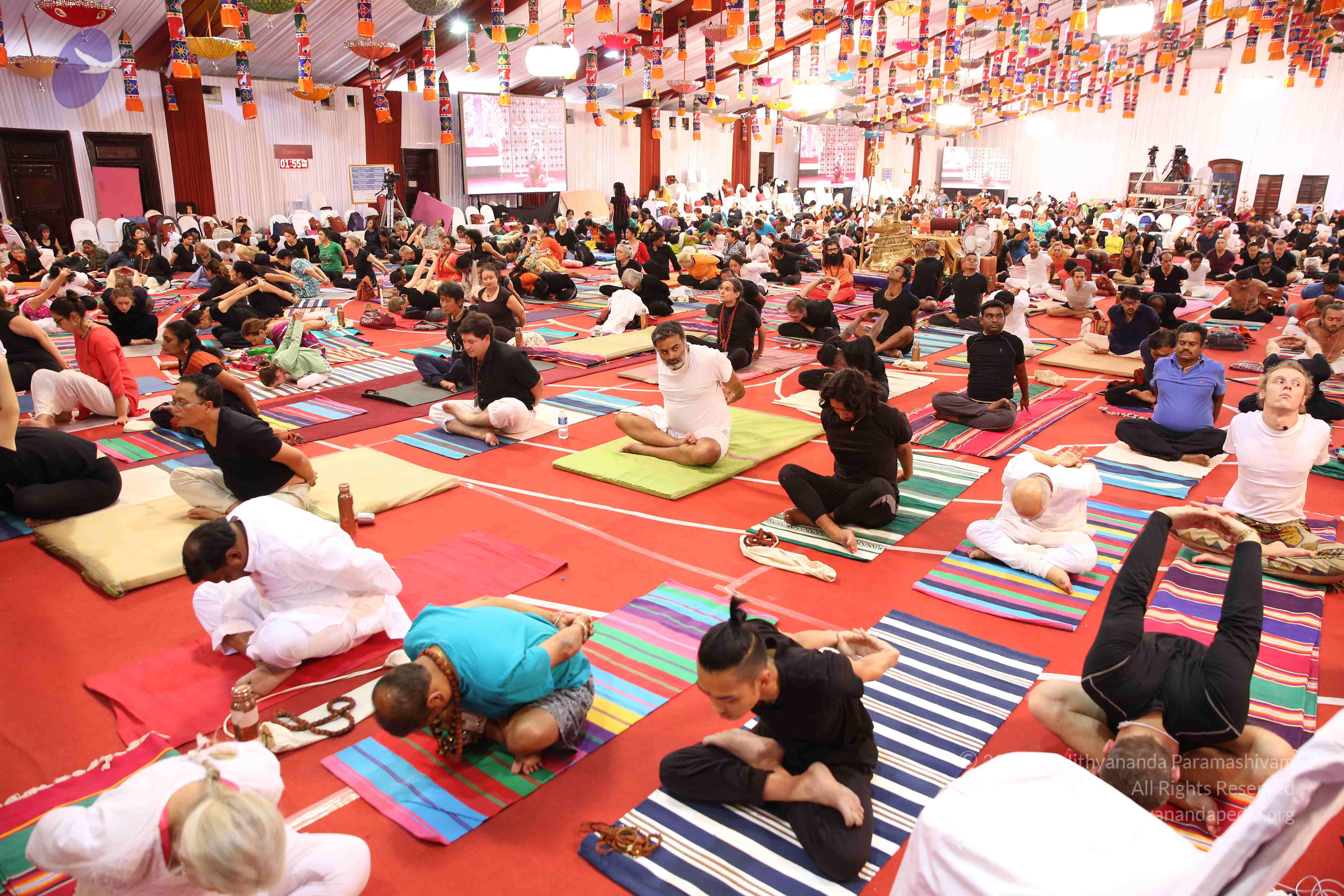 20161210_Photo_1021_IMGL2846_CMP_WM