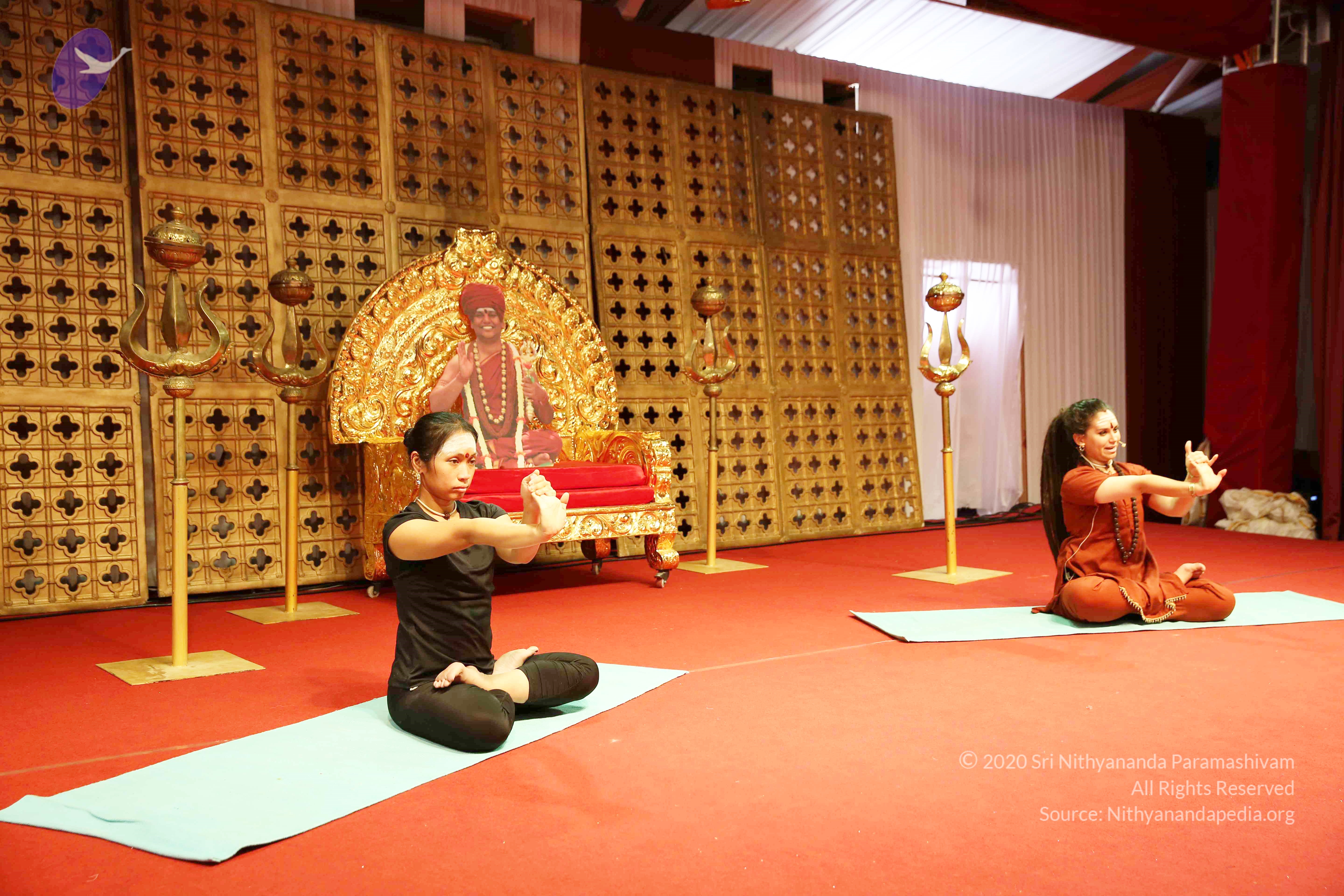 20161210_Photo_1029_IMGL2857_CMP_WM