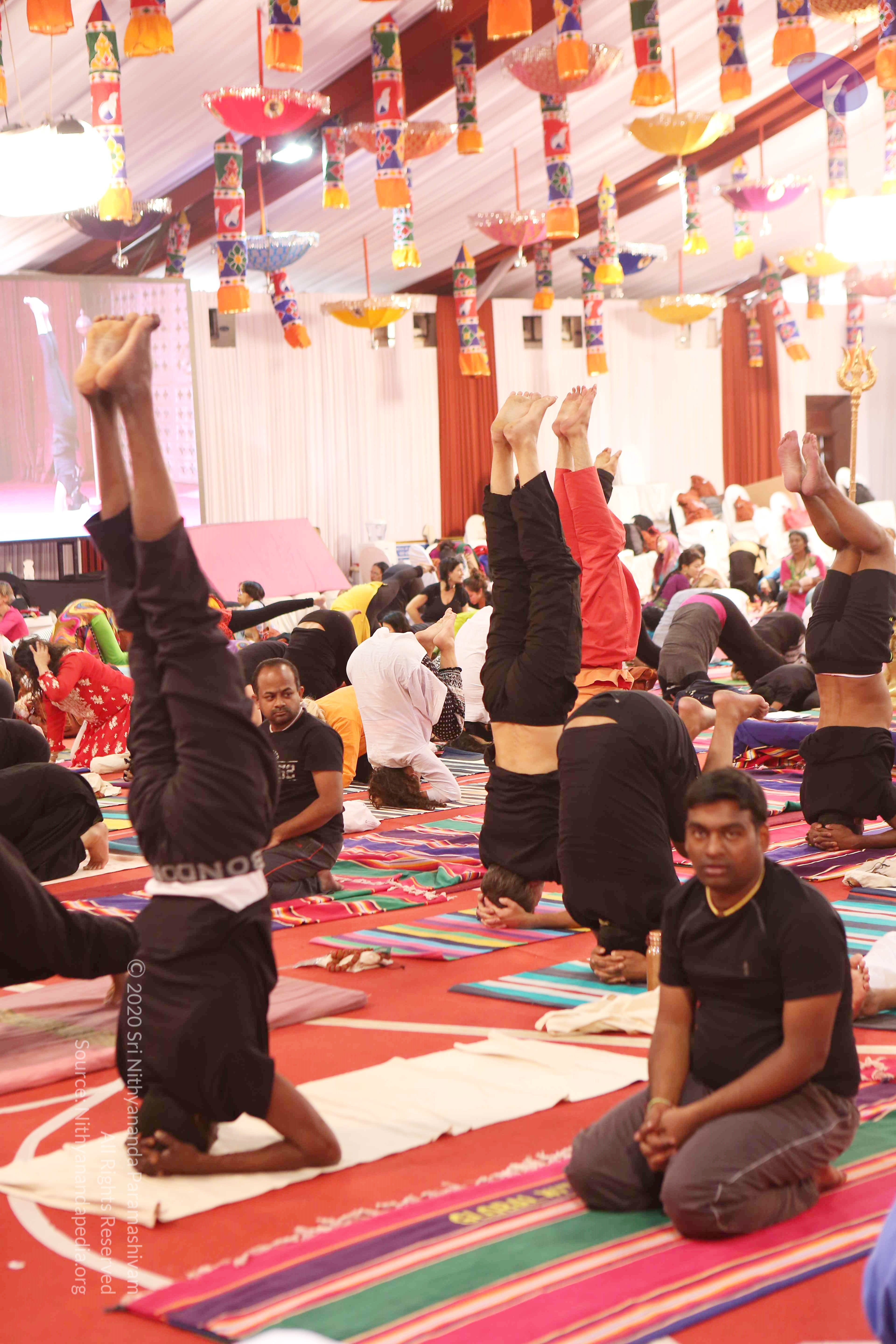 20161210_Photo_1041_G28A8422_CMP_WM