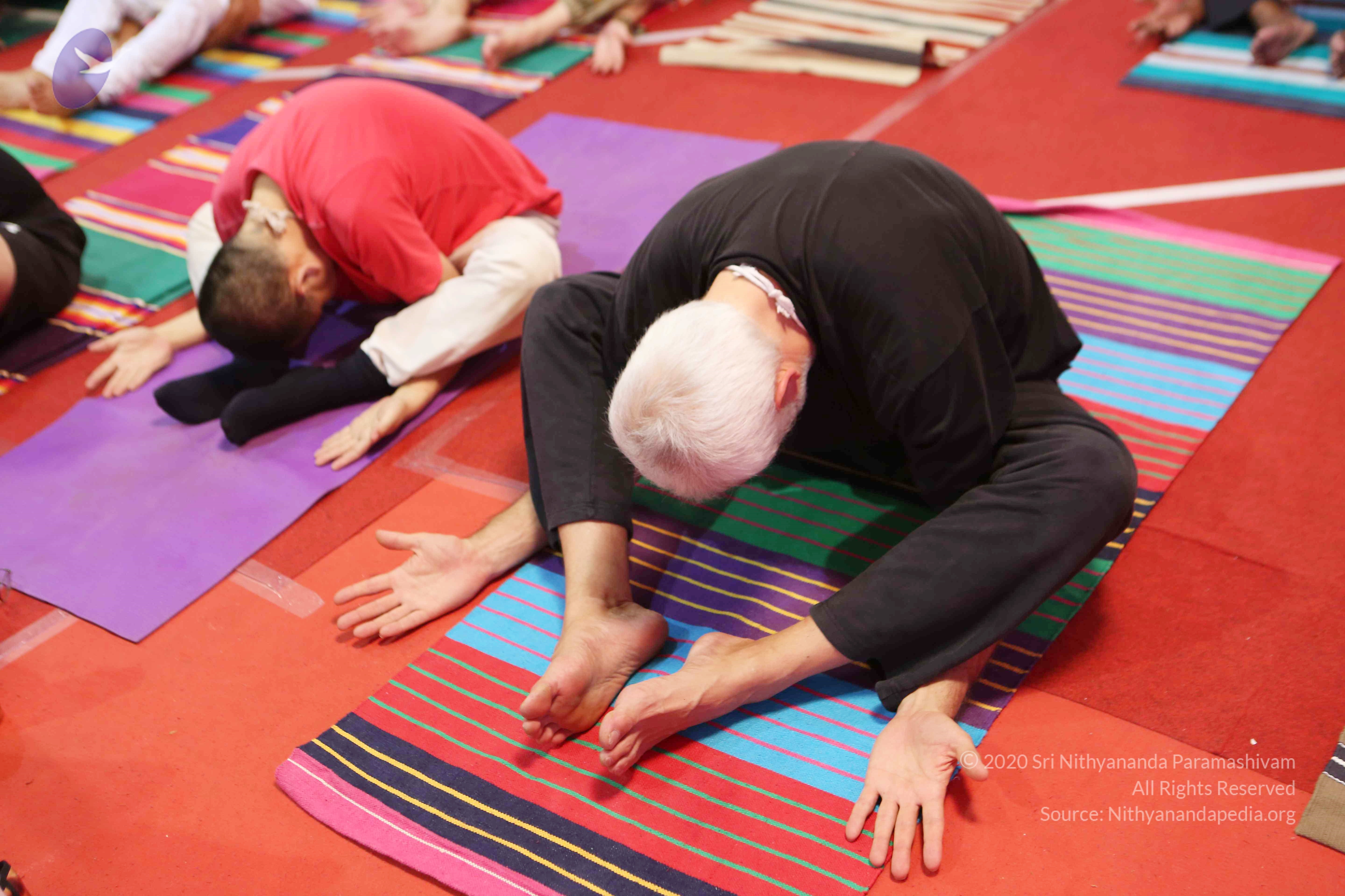 20161210_Photo_1044_G28A8415_CMP_WM