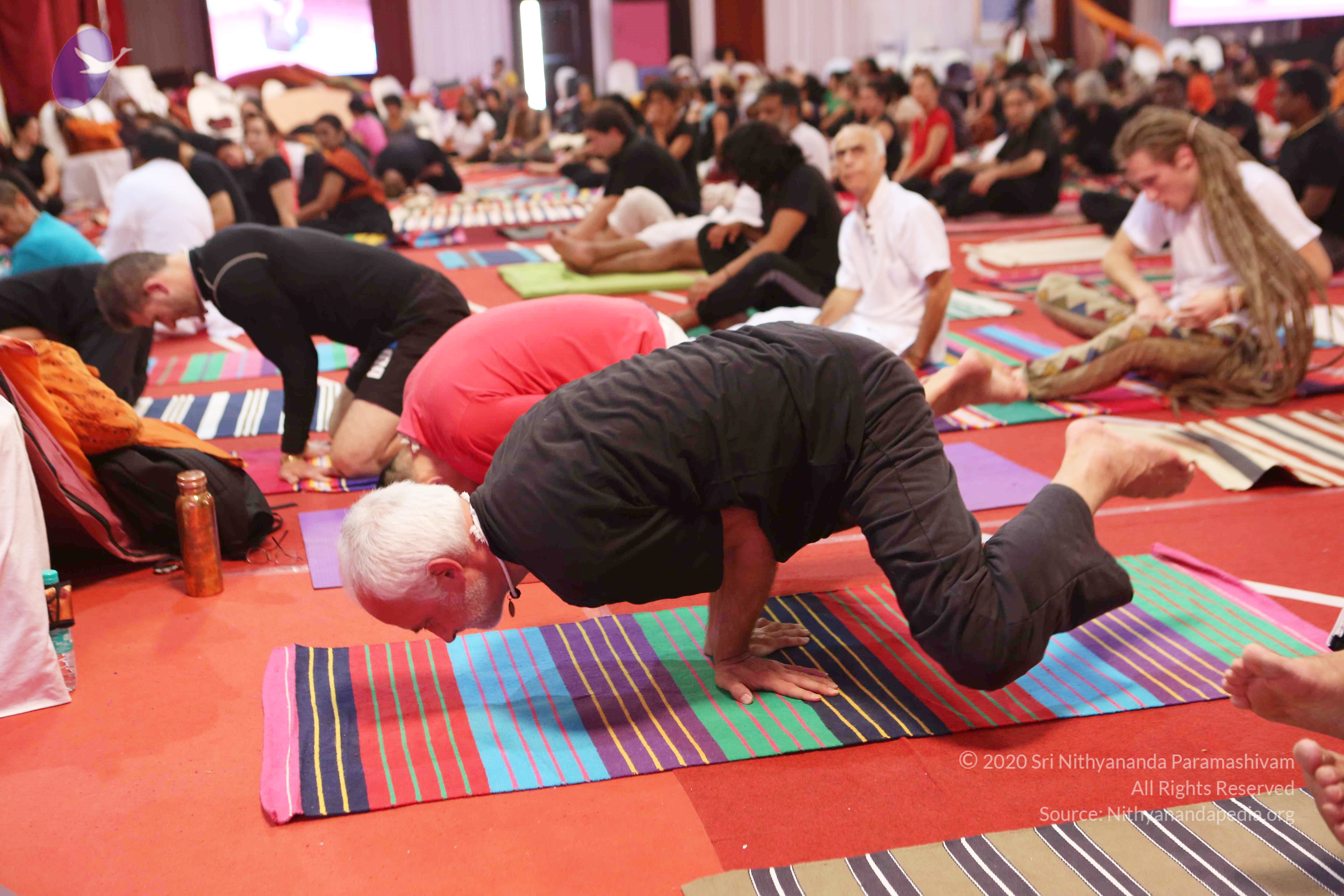 20161210_Photo_1046_G28A8404_CMP_WM