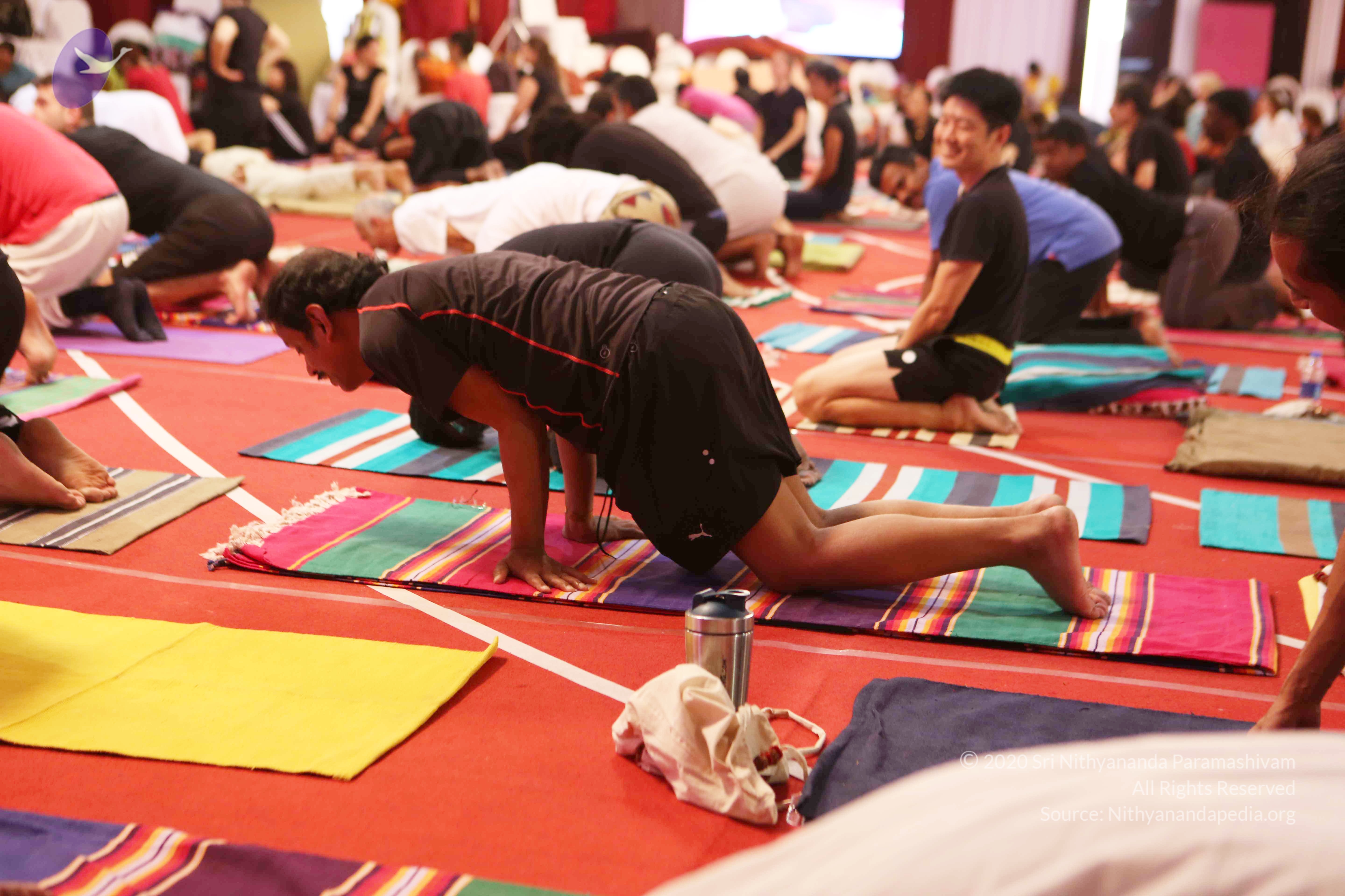 20161210_Photo_1049_G28A8399_CMP_WM