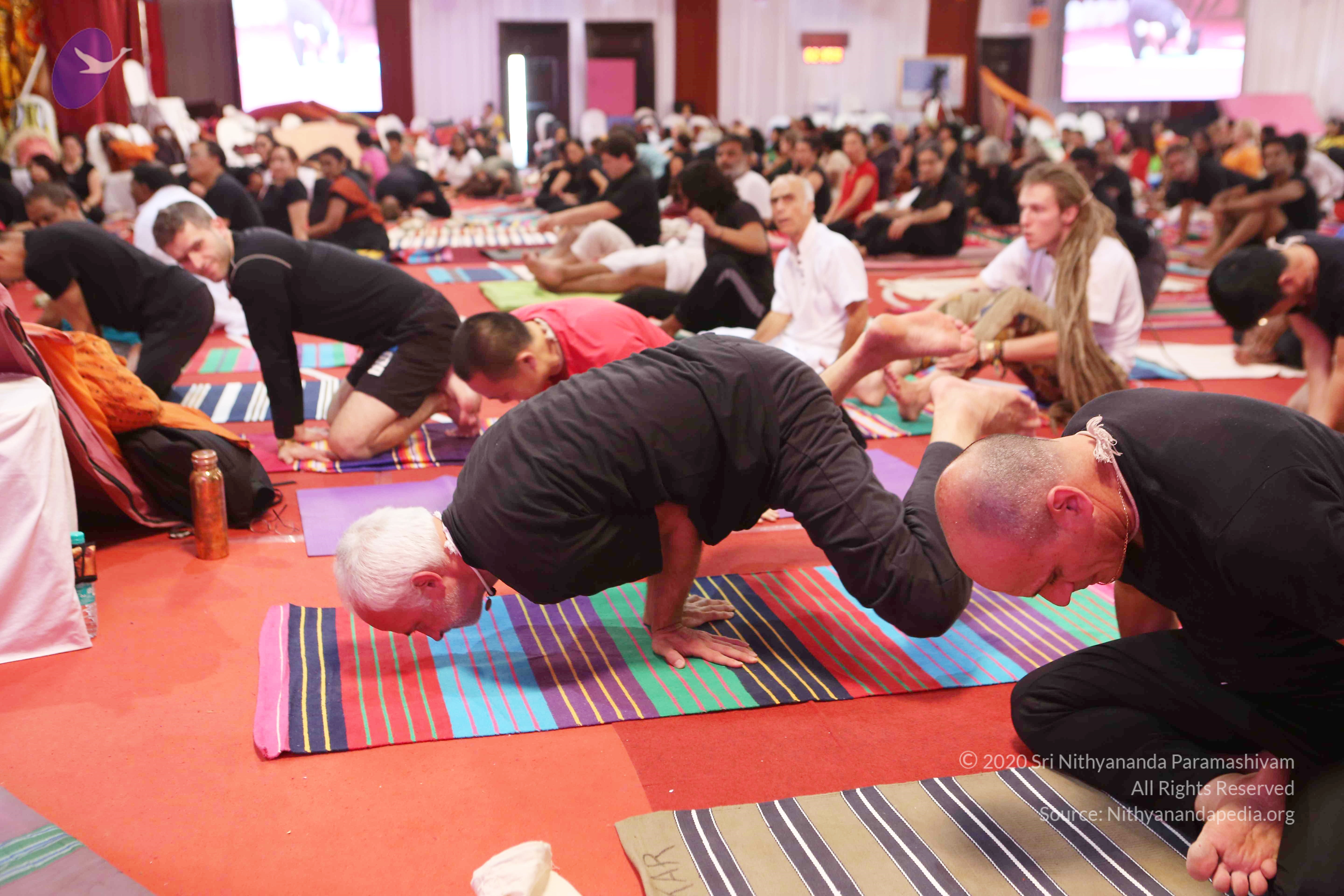 20161210_Photo_1058_G28A8401_CMP_WM