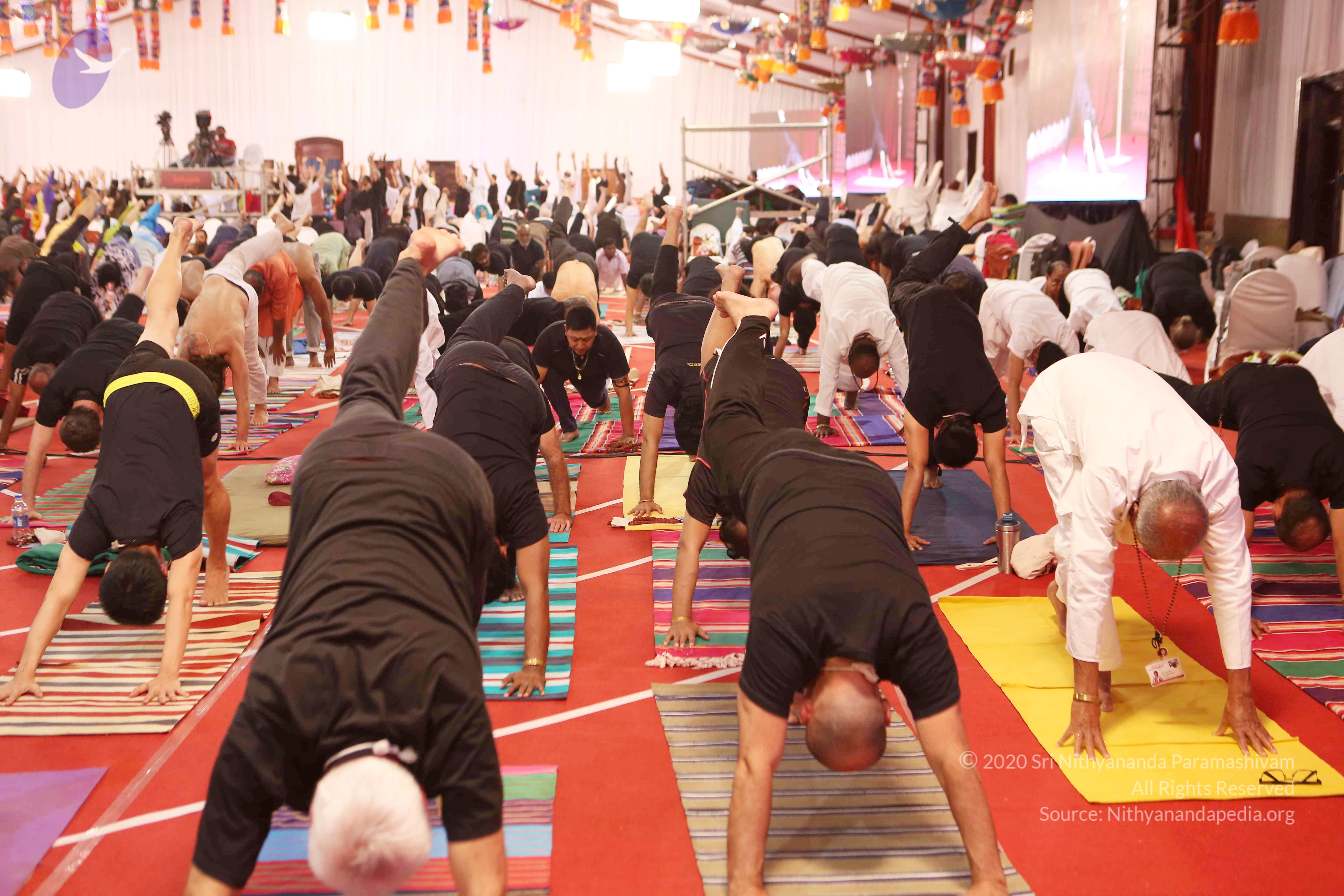 20161210_Photo_1060_G28A8380_CMP_WM