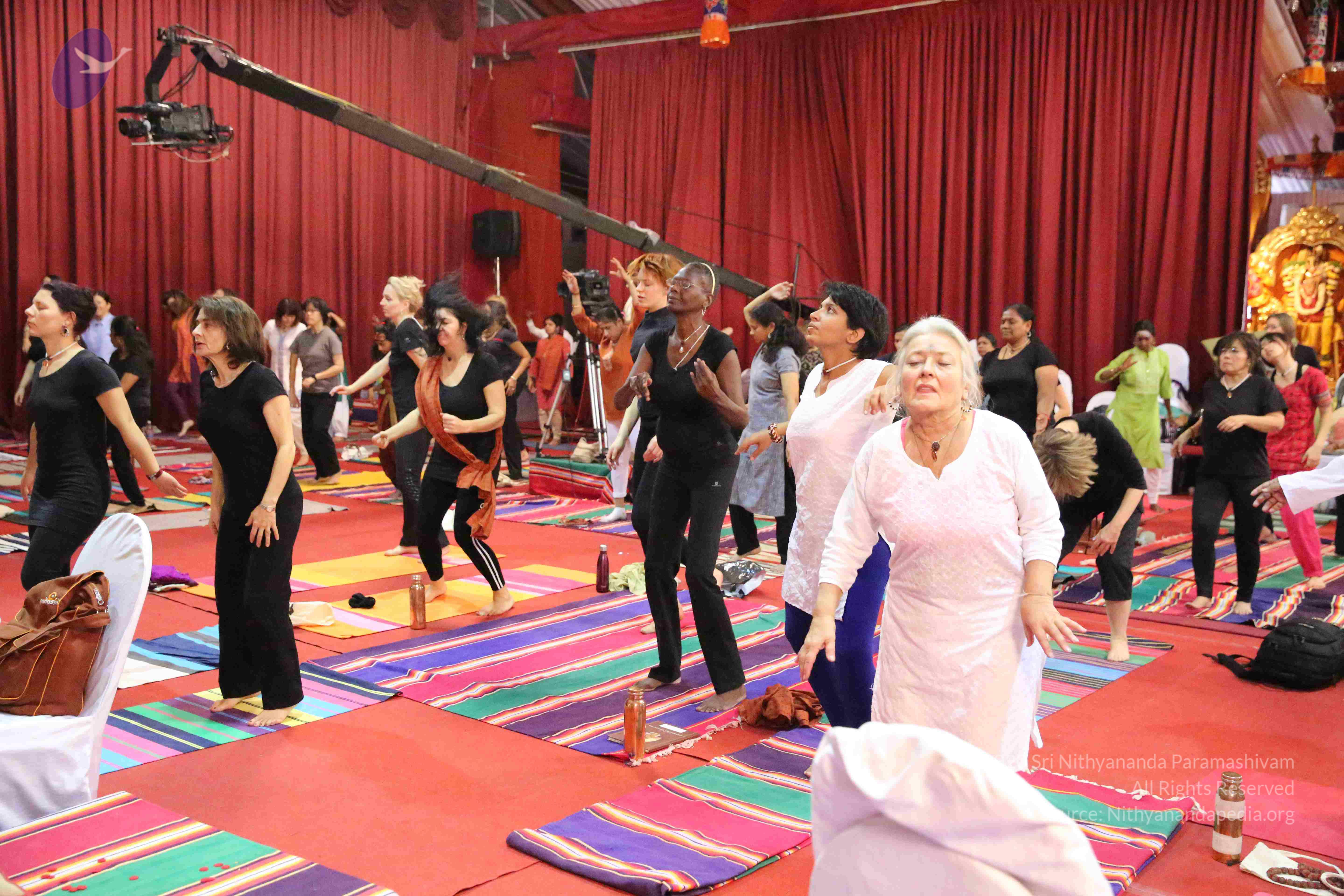 20161210_Photo_1063_IMGL2881_CMP_WM