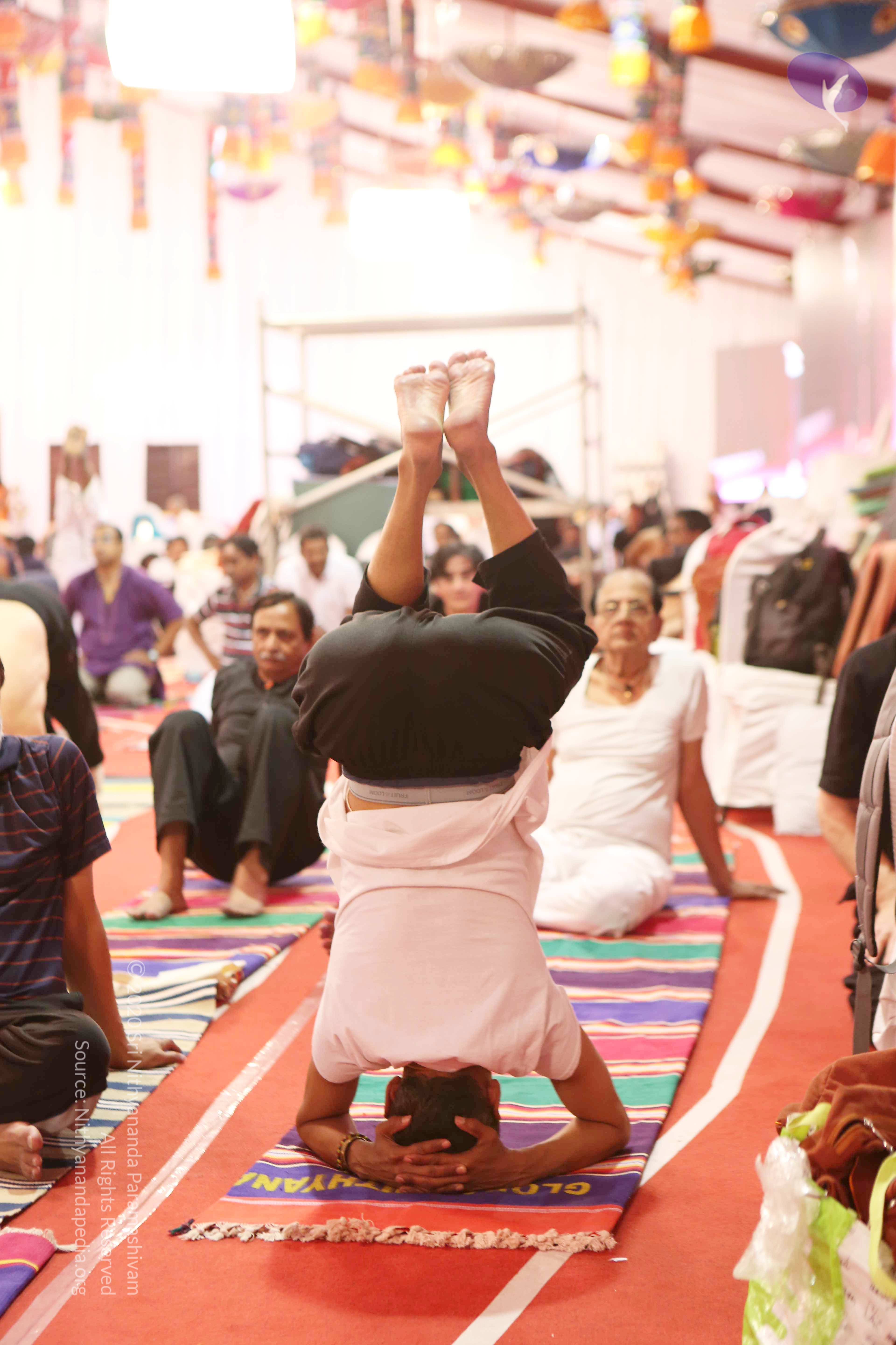 20161210_Photo_1069_G28A8427_CMP_WM