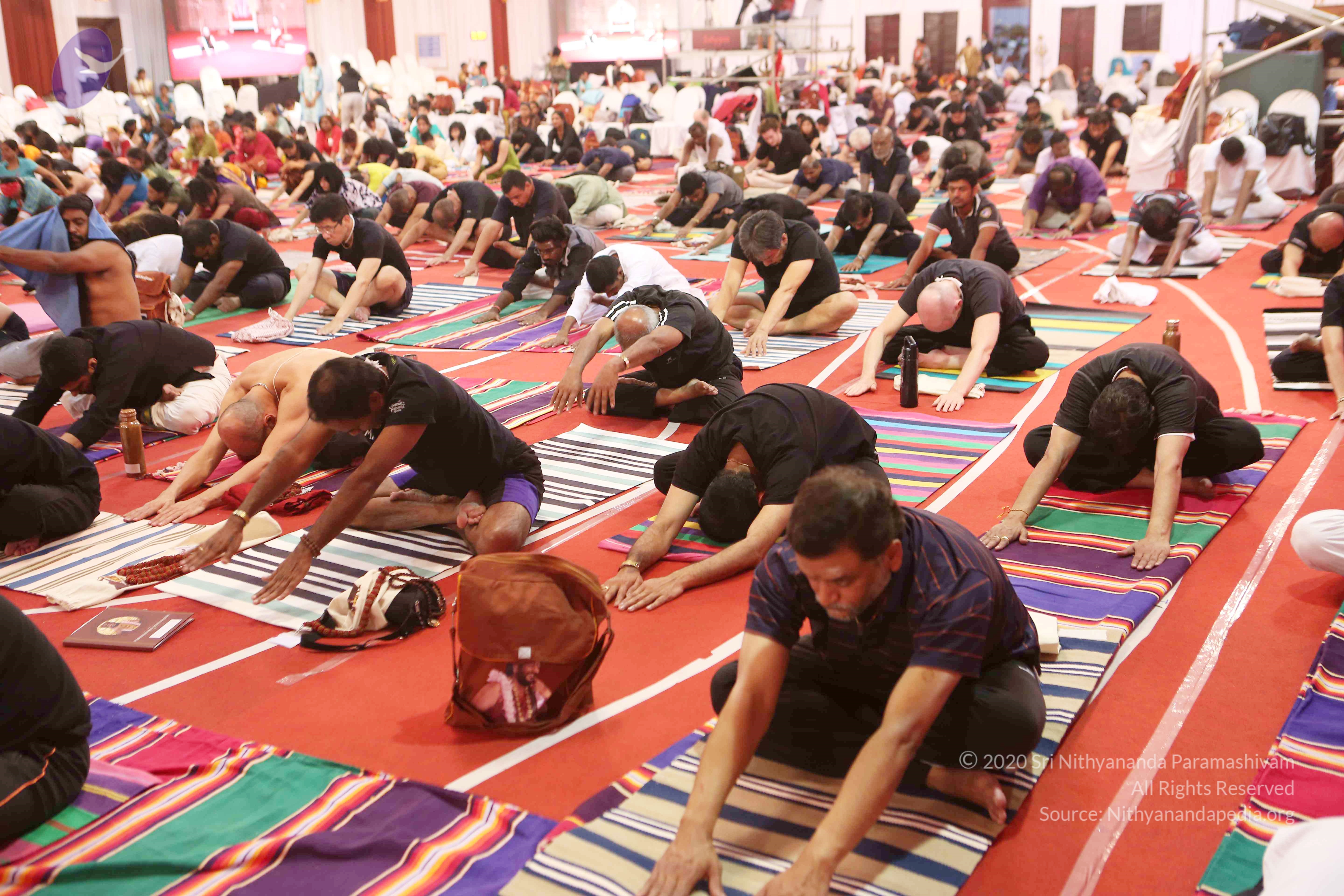 20161210_Photo_1070_G28A8345_CMP_WM