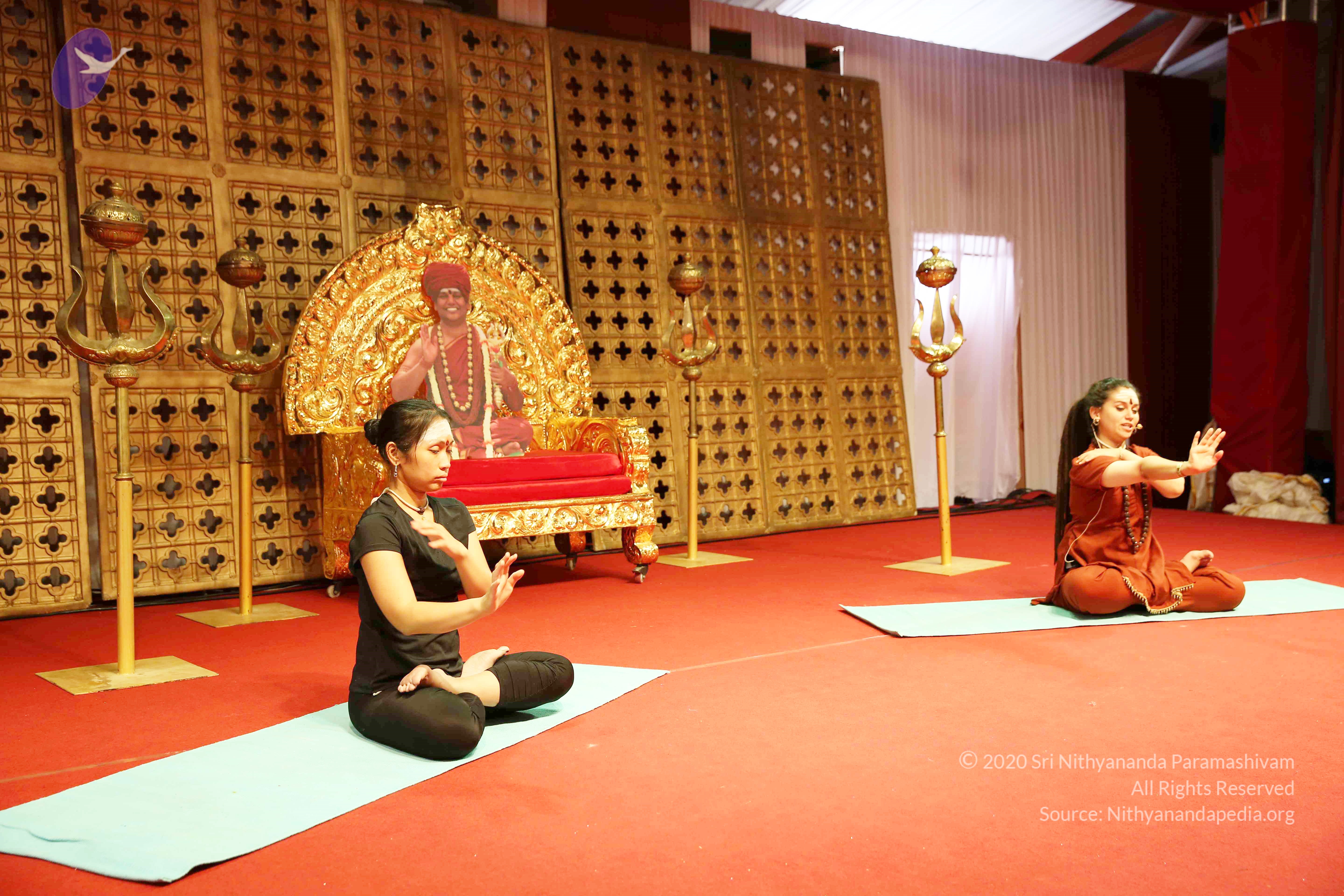 20161210_Photo_1071_IMGL2855_CMP_WM