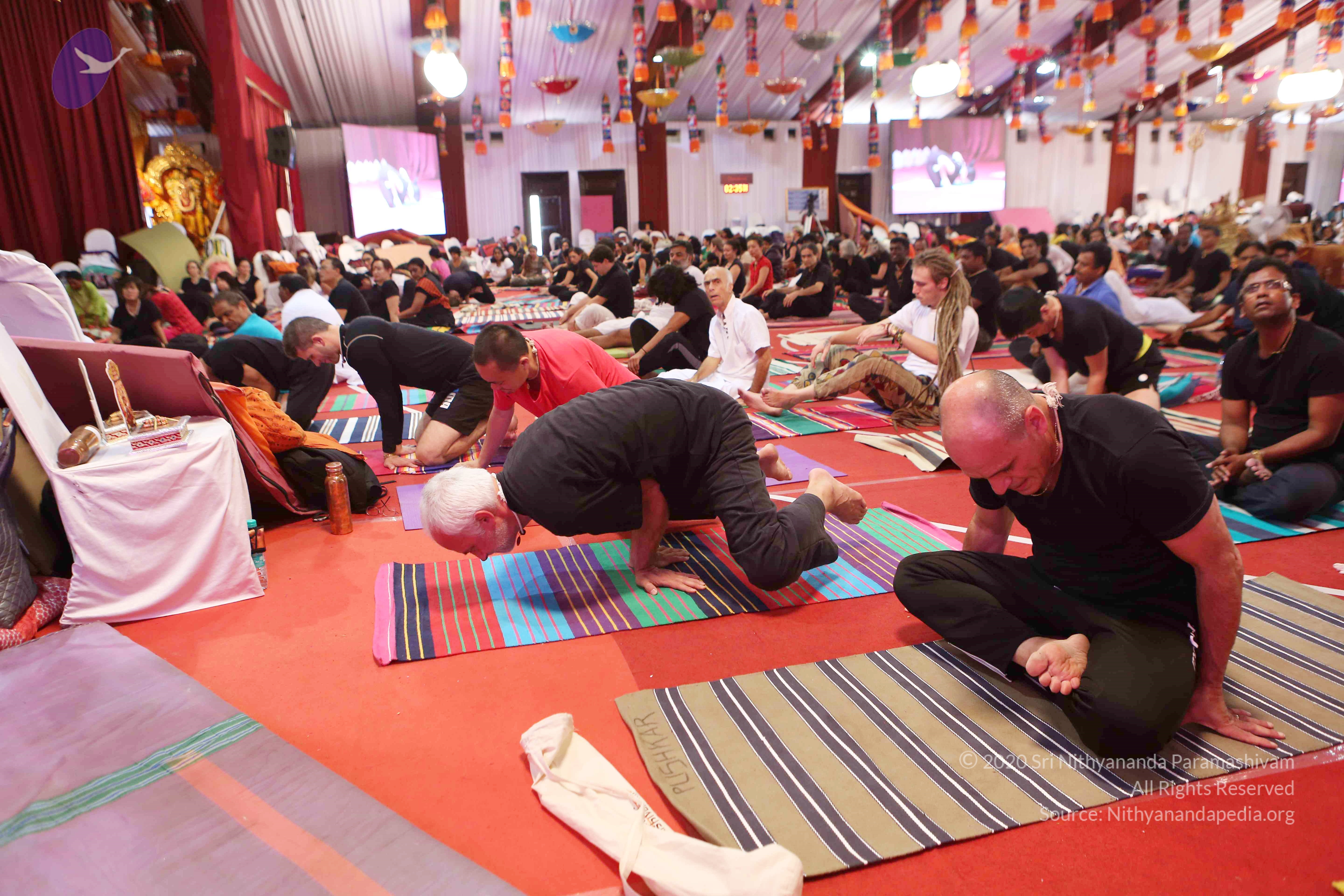 20161210_Photo_1075_G28A8402_CMP_WM