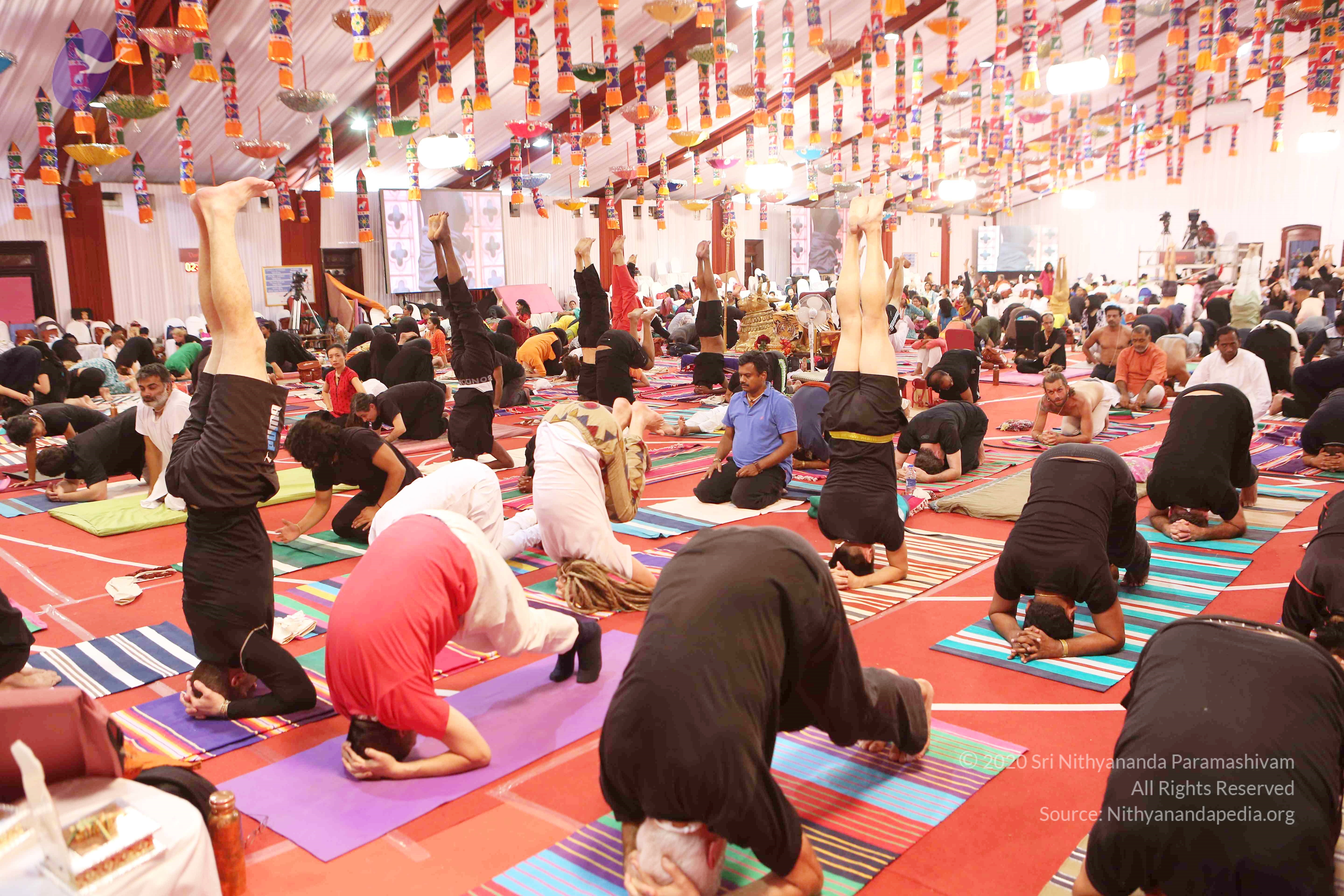 20161210_Photo_1081_G28A8424_CMP_WM