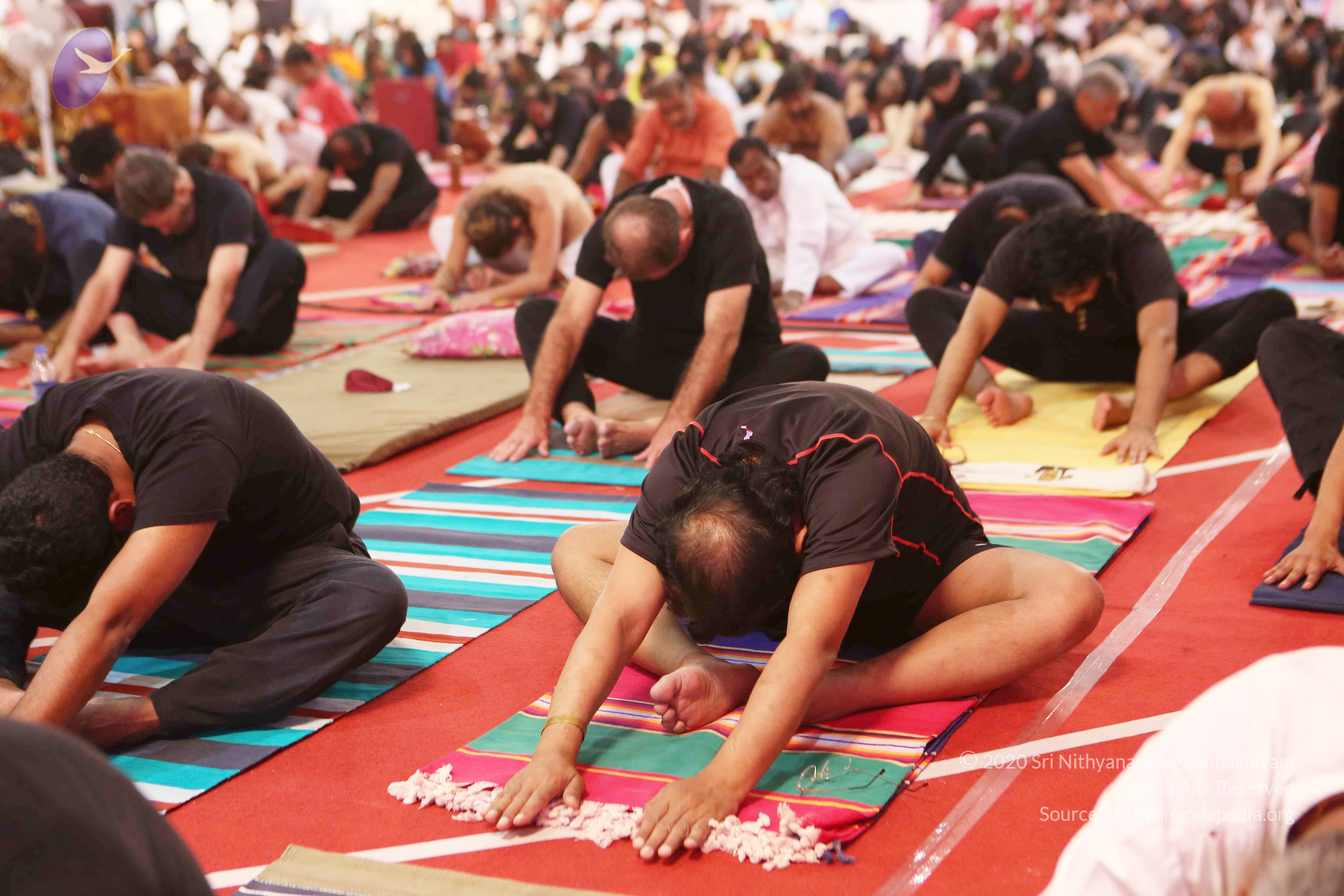 20161210_Photo_1084_G28A8413_CMP_WM