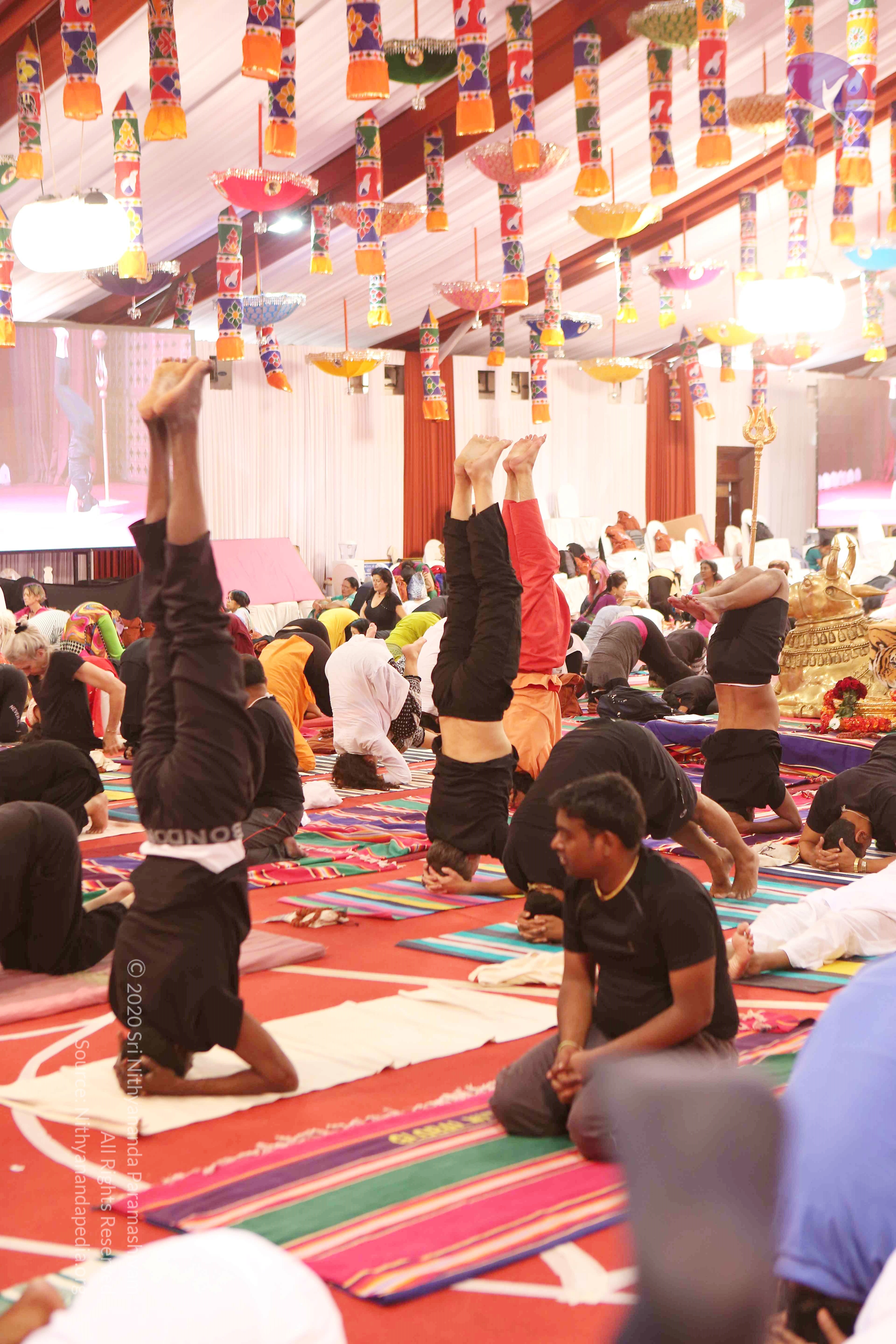 20161210_Photo_1090_G28A8421_CMP_WM