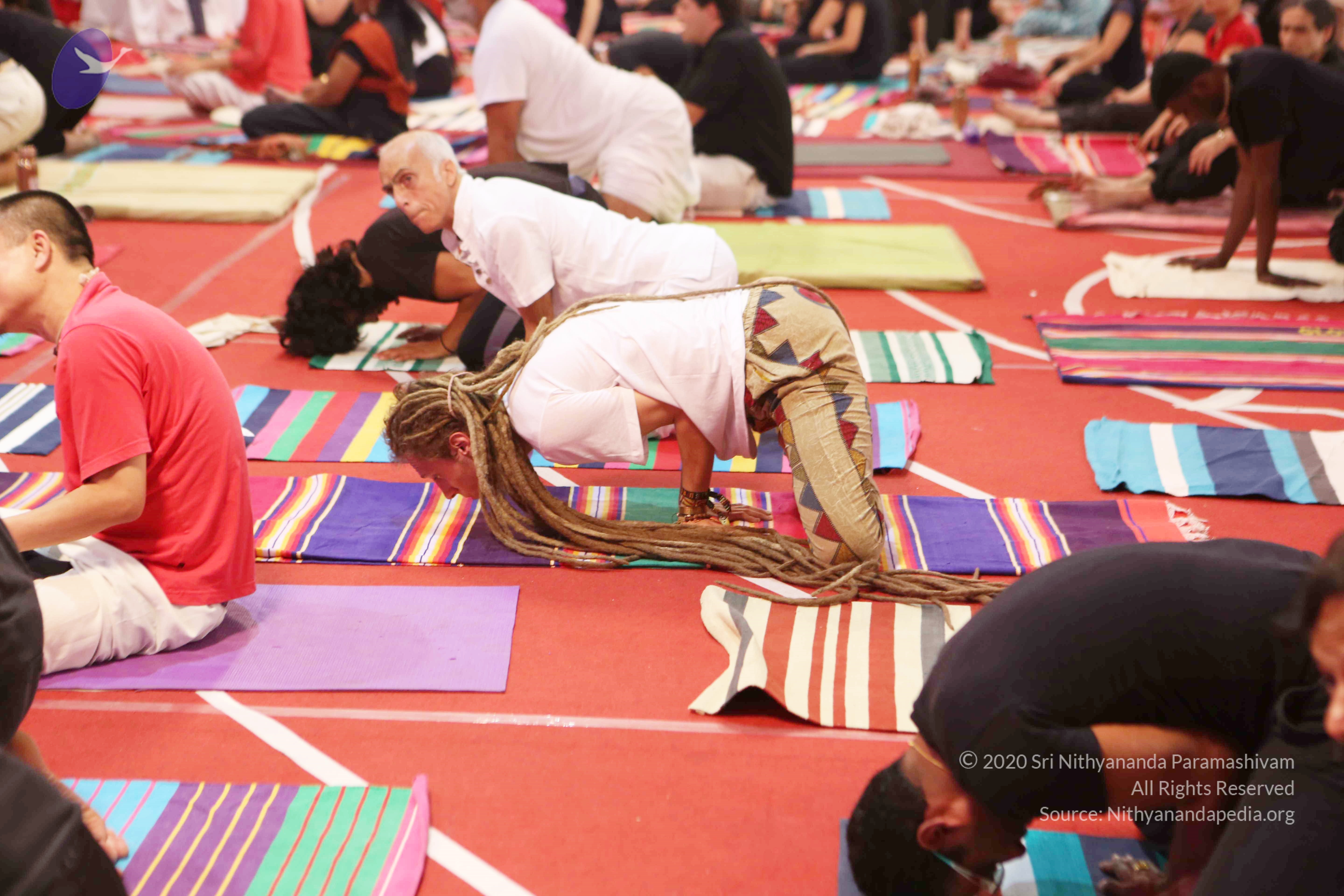 20161210_Photo_1104_G28A8400_CMP_WM