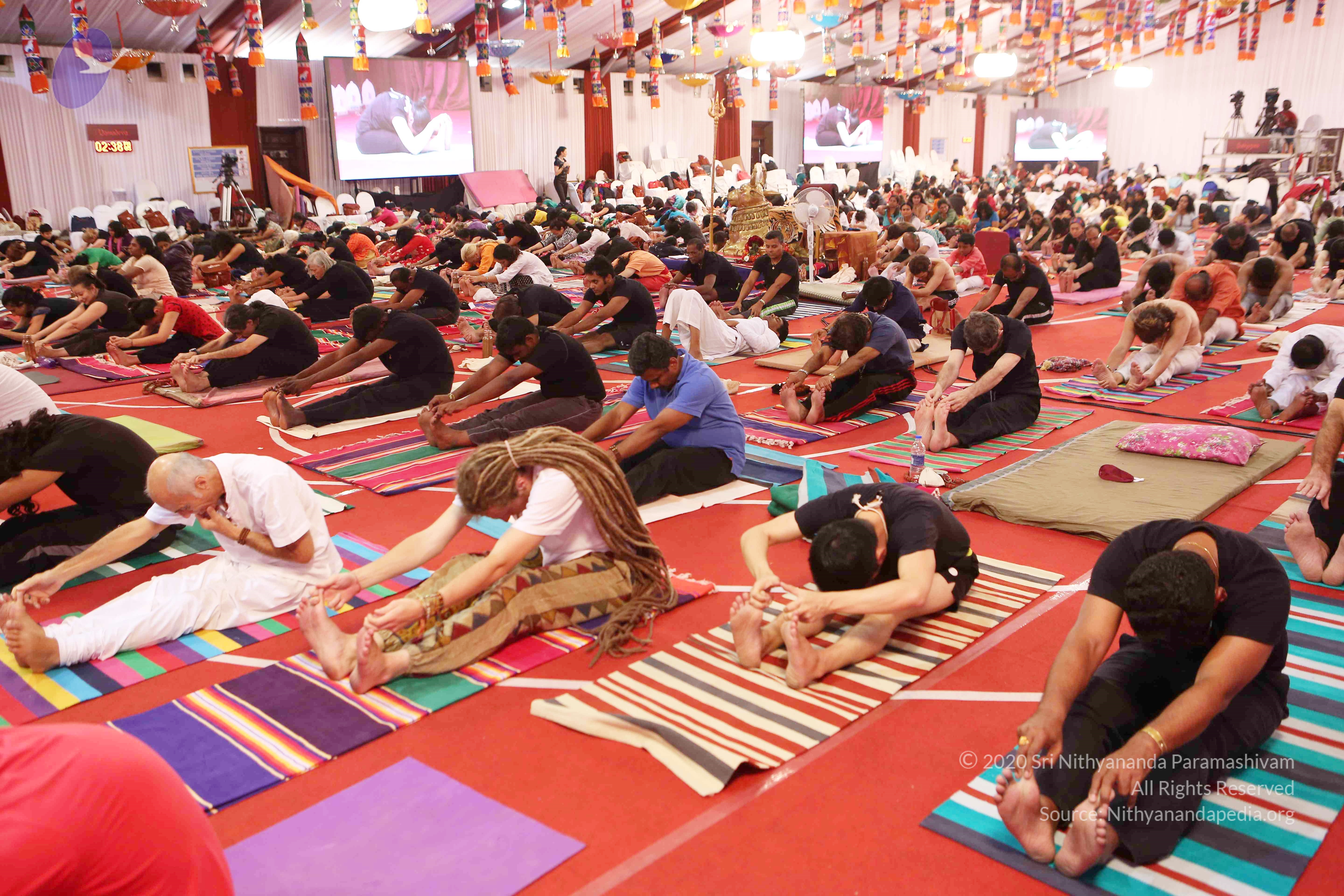 20161210_Photo_1117_G28A8411_CMP_WM