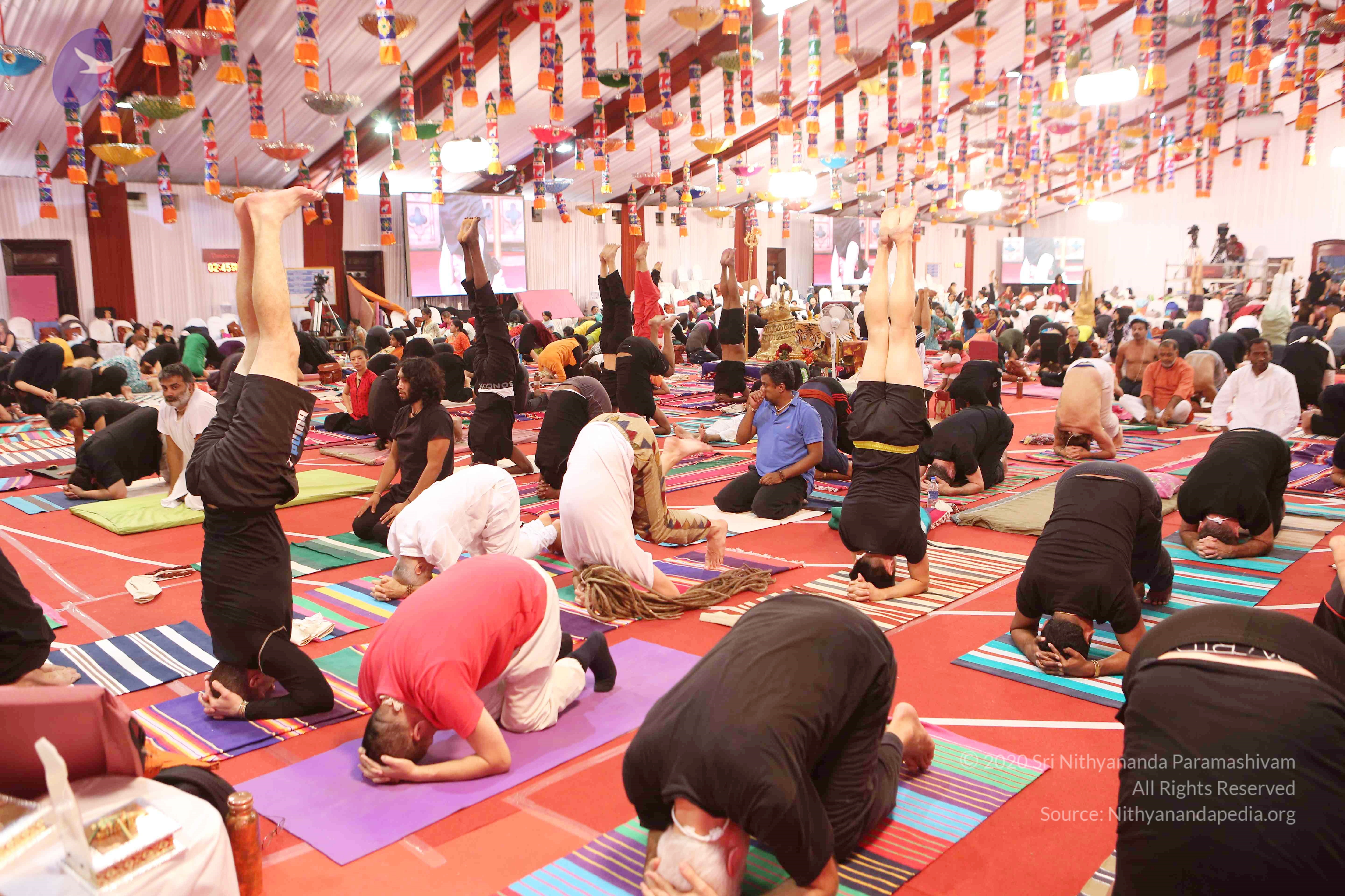 20161210_Photo_1124_G28A8423_CMP_WM