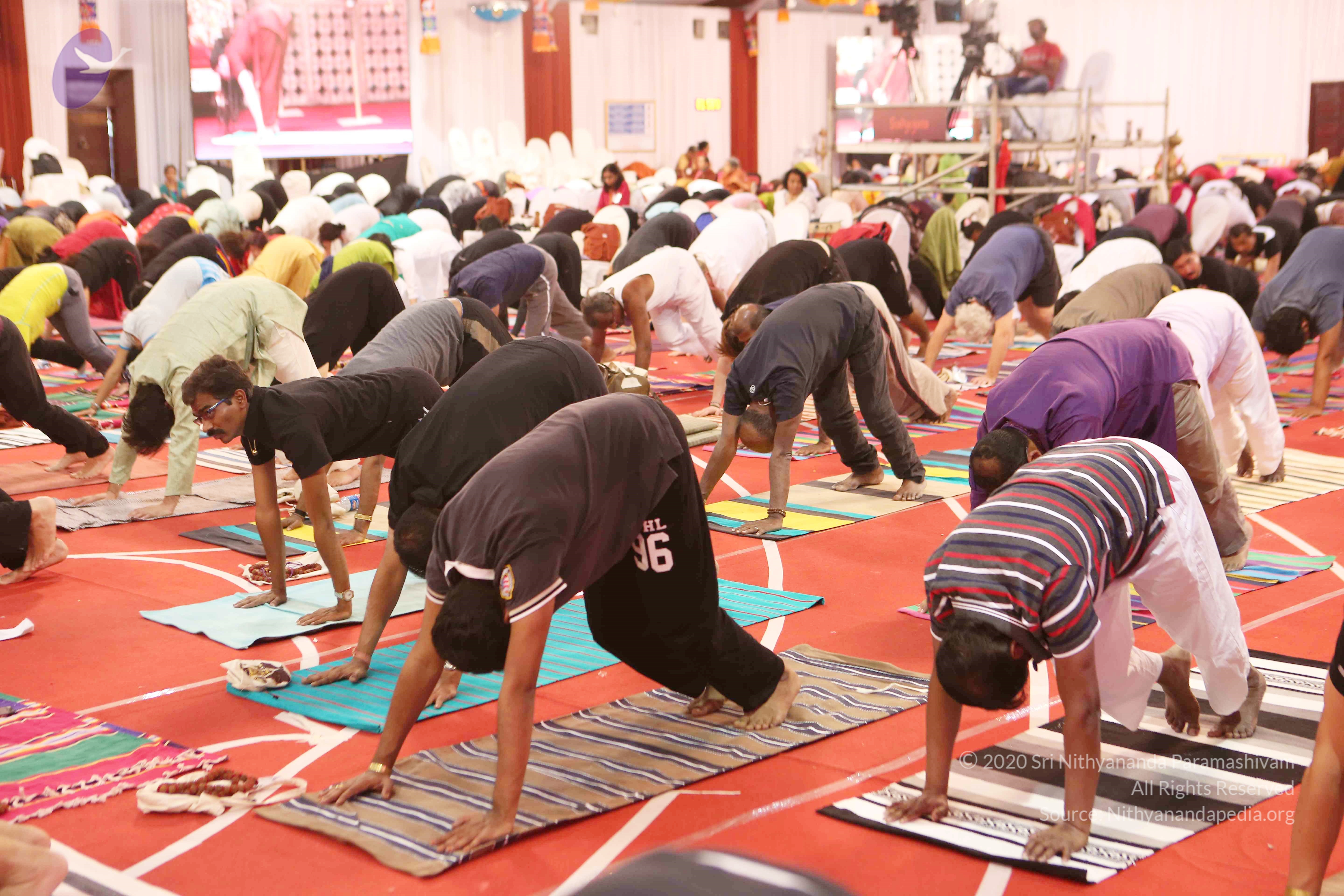 20161210_Photo_1135_G28A8350_CMP_WM